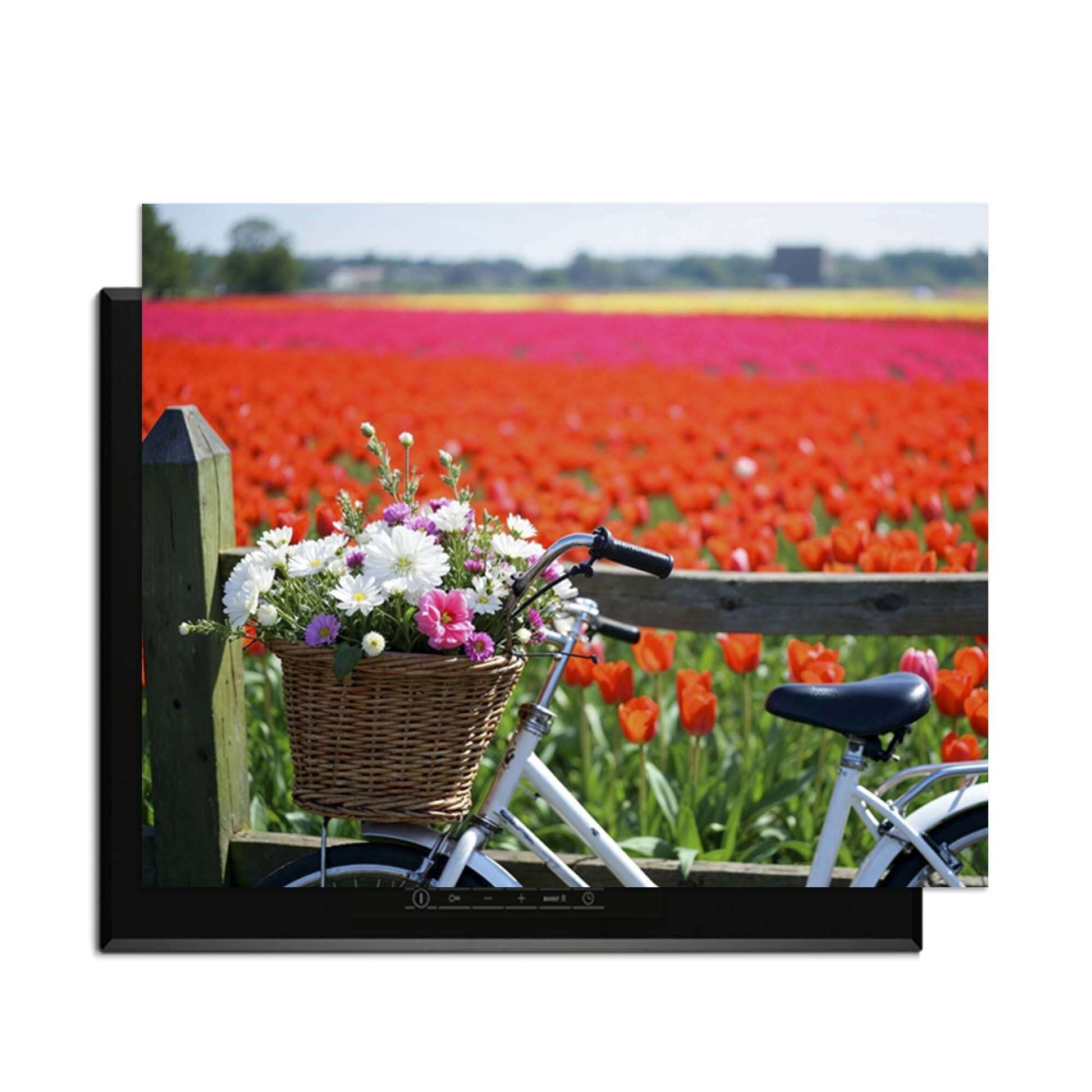 Spring Ride - Inductie Beschermer met bloeiende bloemen en een fiets in een kleurrijk tulpenveld.