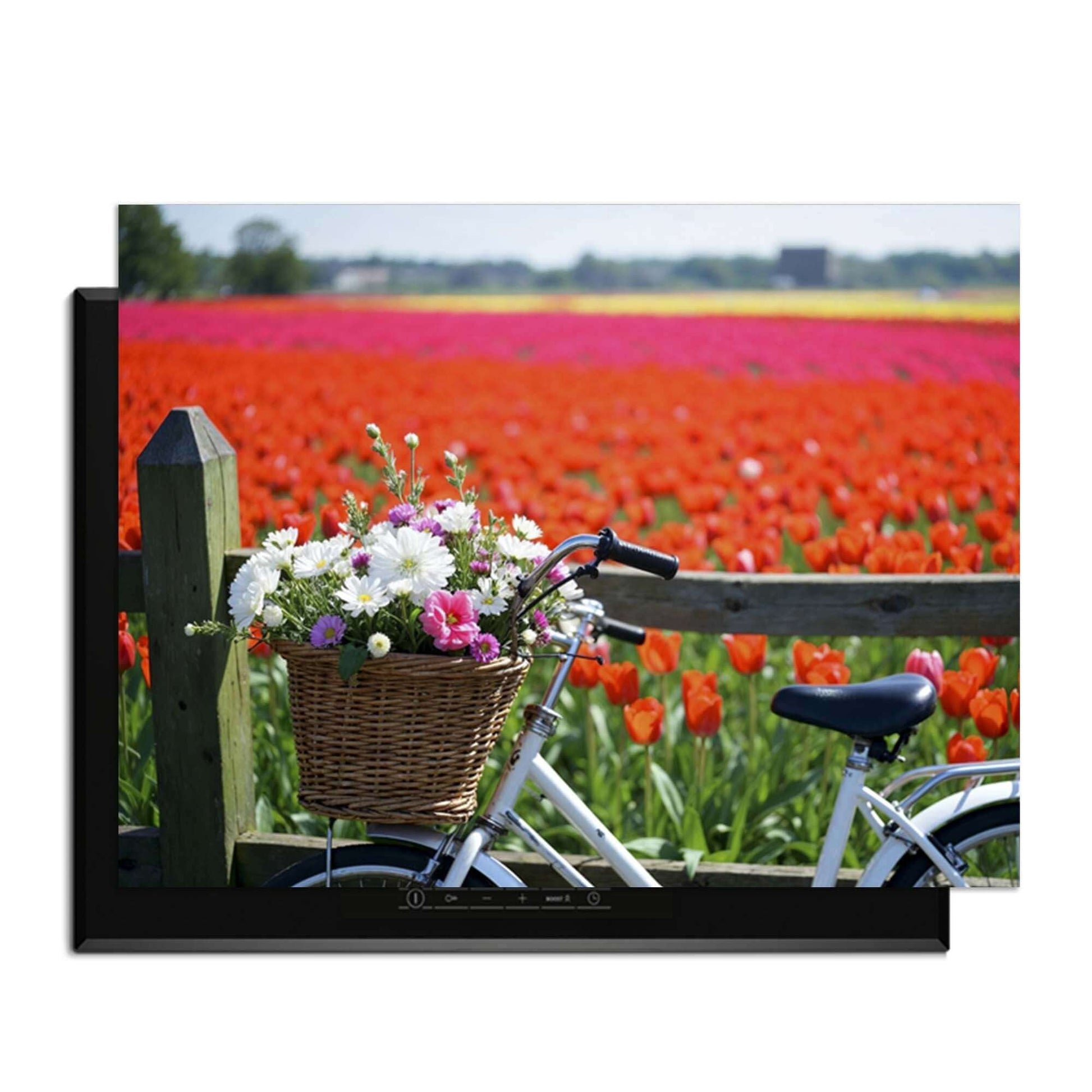 Lente landschap met fiets en bloemenmand voor een tulpenveld in volle bloei.