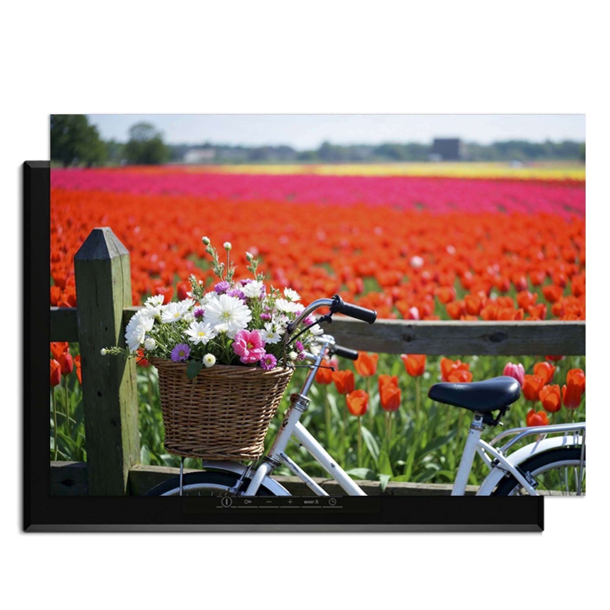 Spring Ride - Inductie Beschermer met bloemenfiets voor kleurrijke tulpenvelden