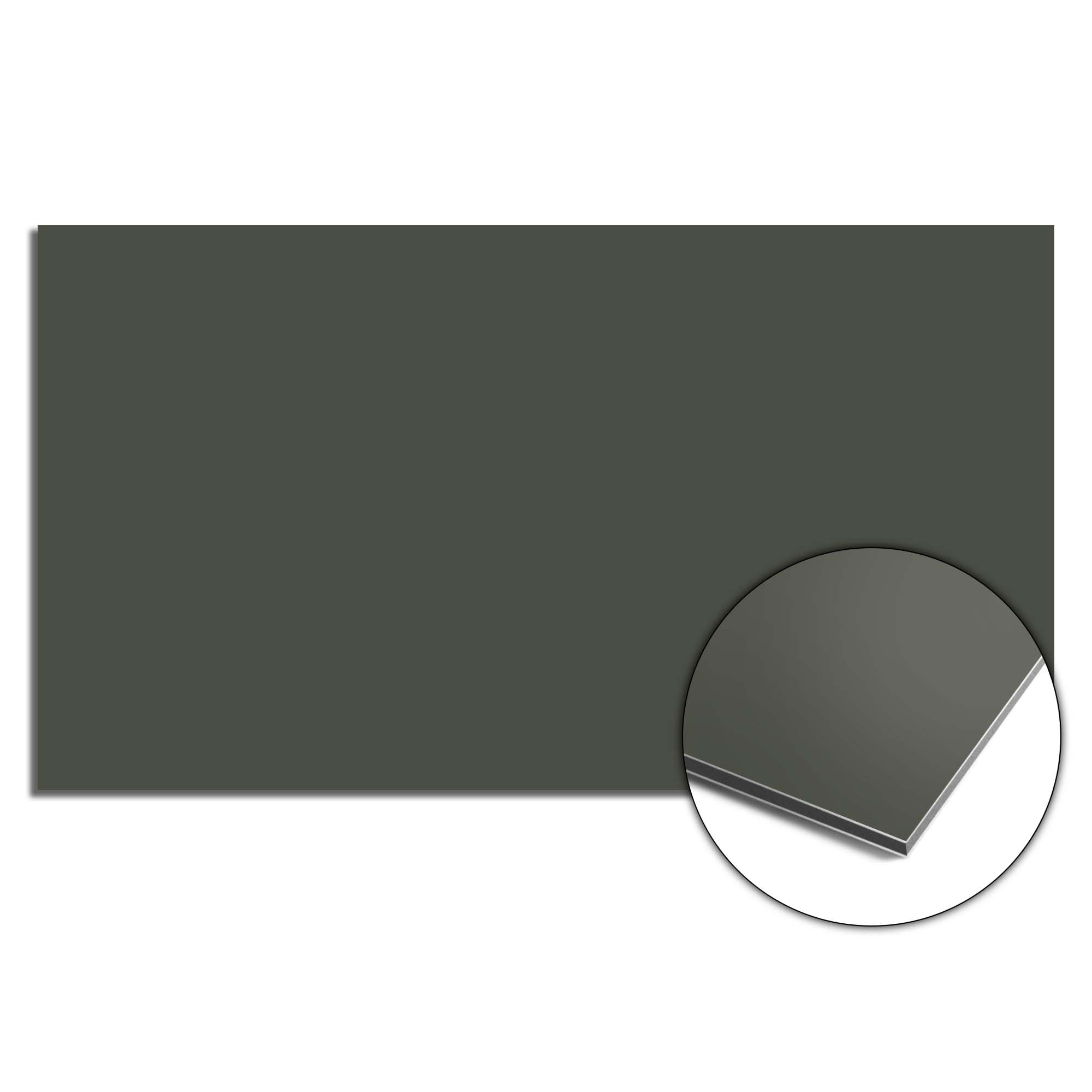 Climbing Ivy Spatscherm