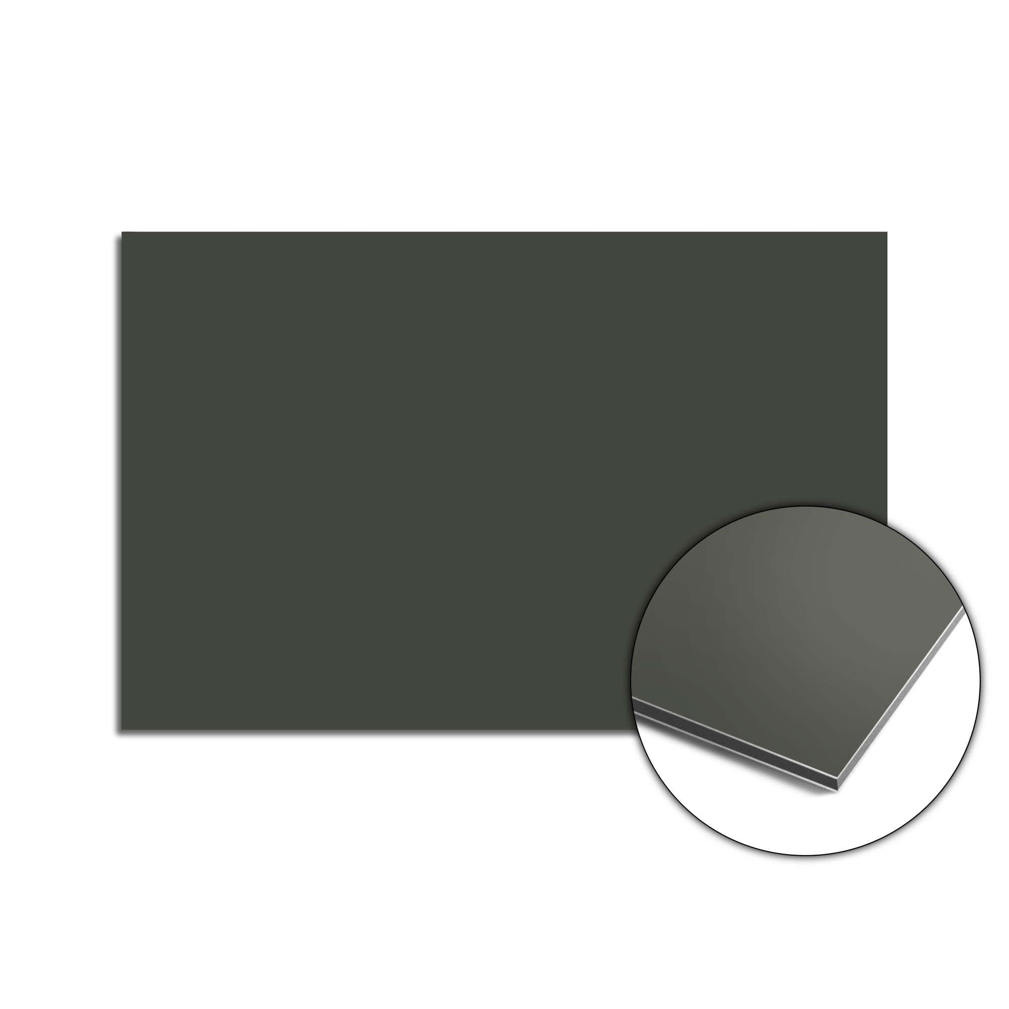 Climbing Ivy Spatscherm