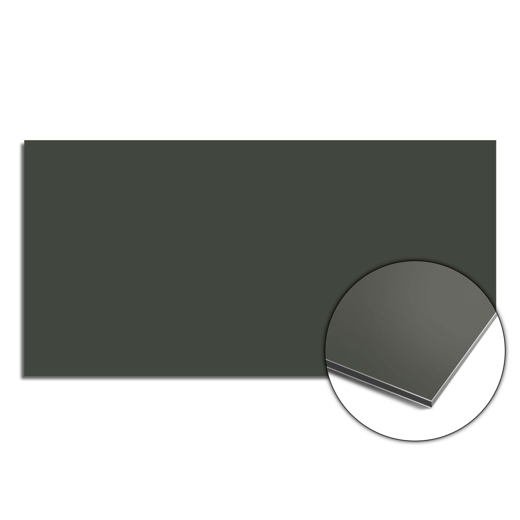 Climbing Ivy Spatscherm