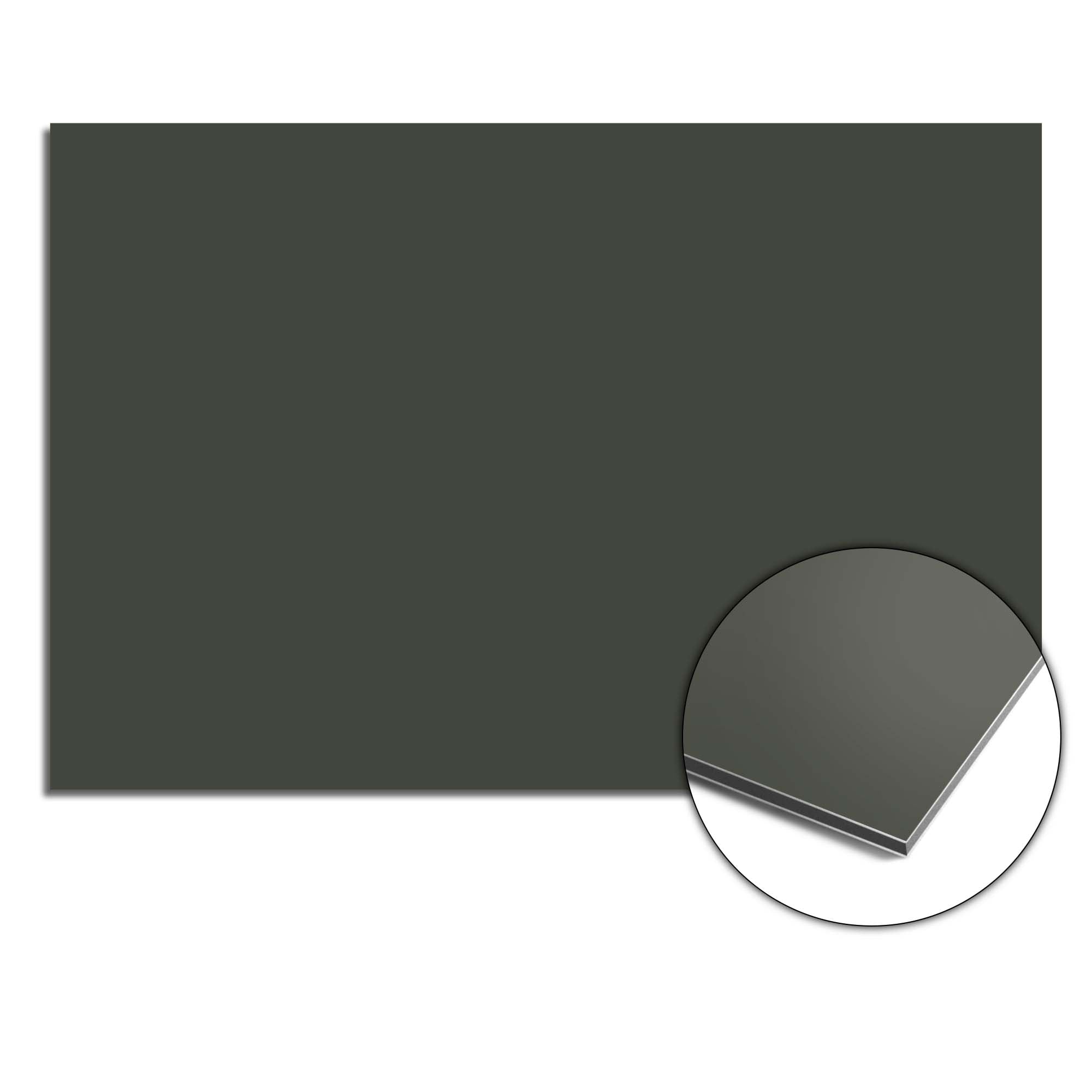 Climbing Ivy Spatscherm