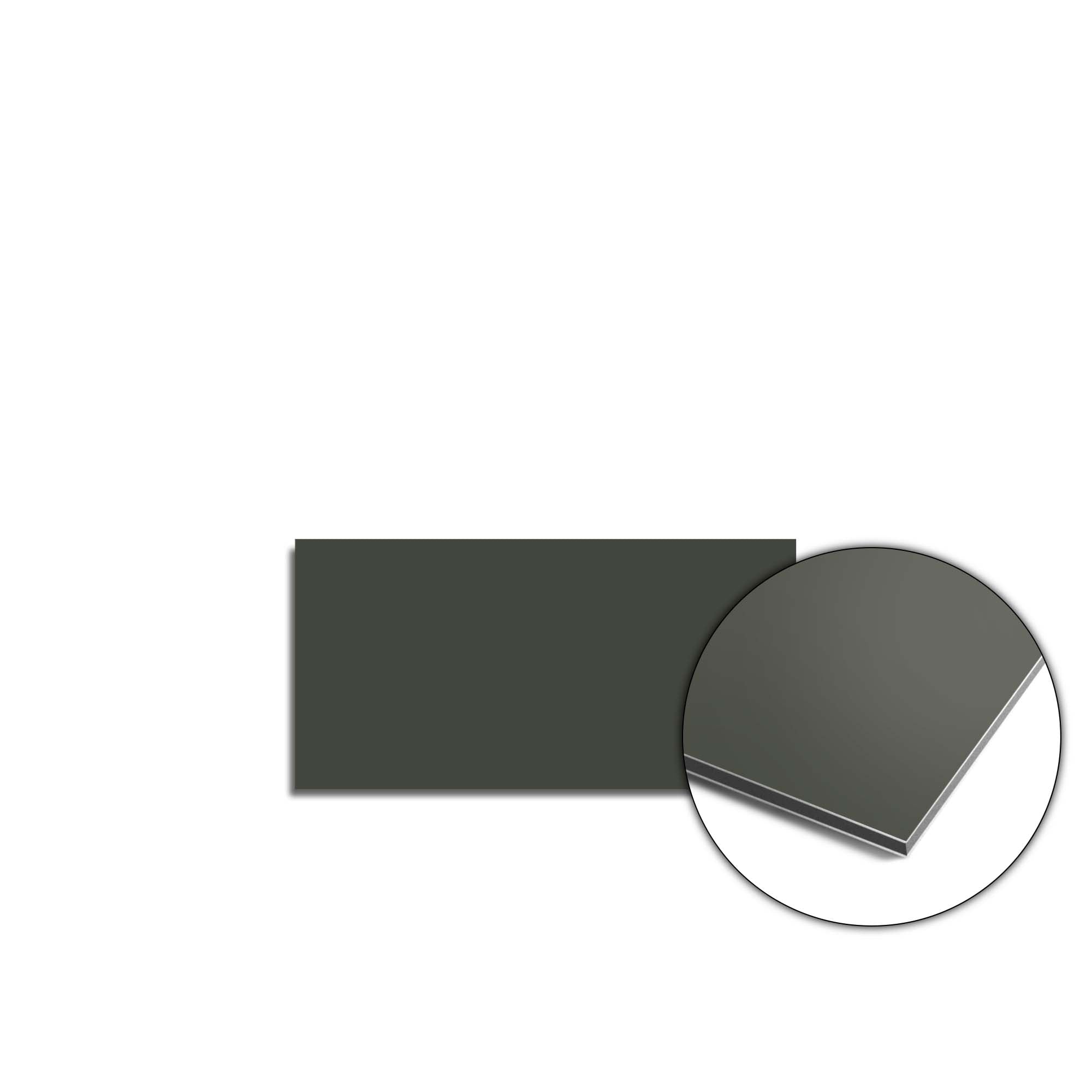 Climbing Ivy Spatscherm