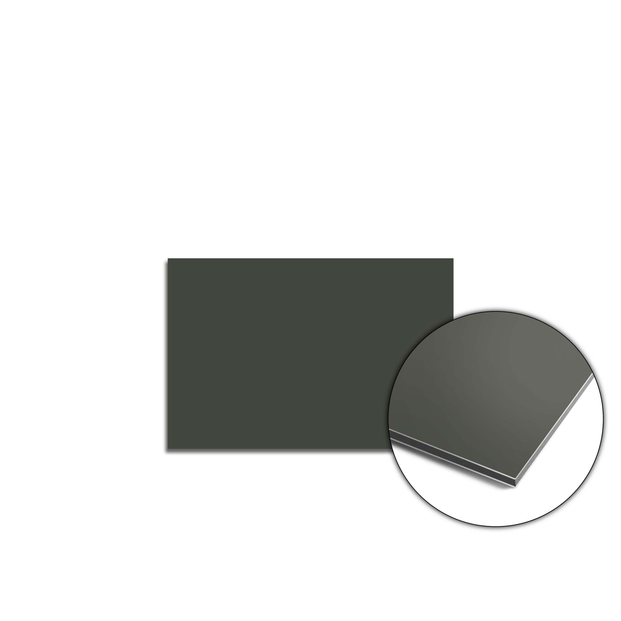 Climbing Ivy Spatscherm