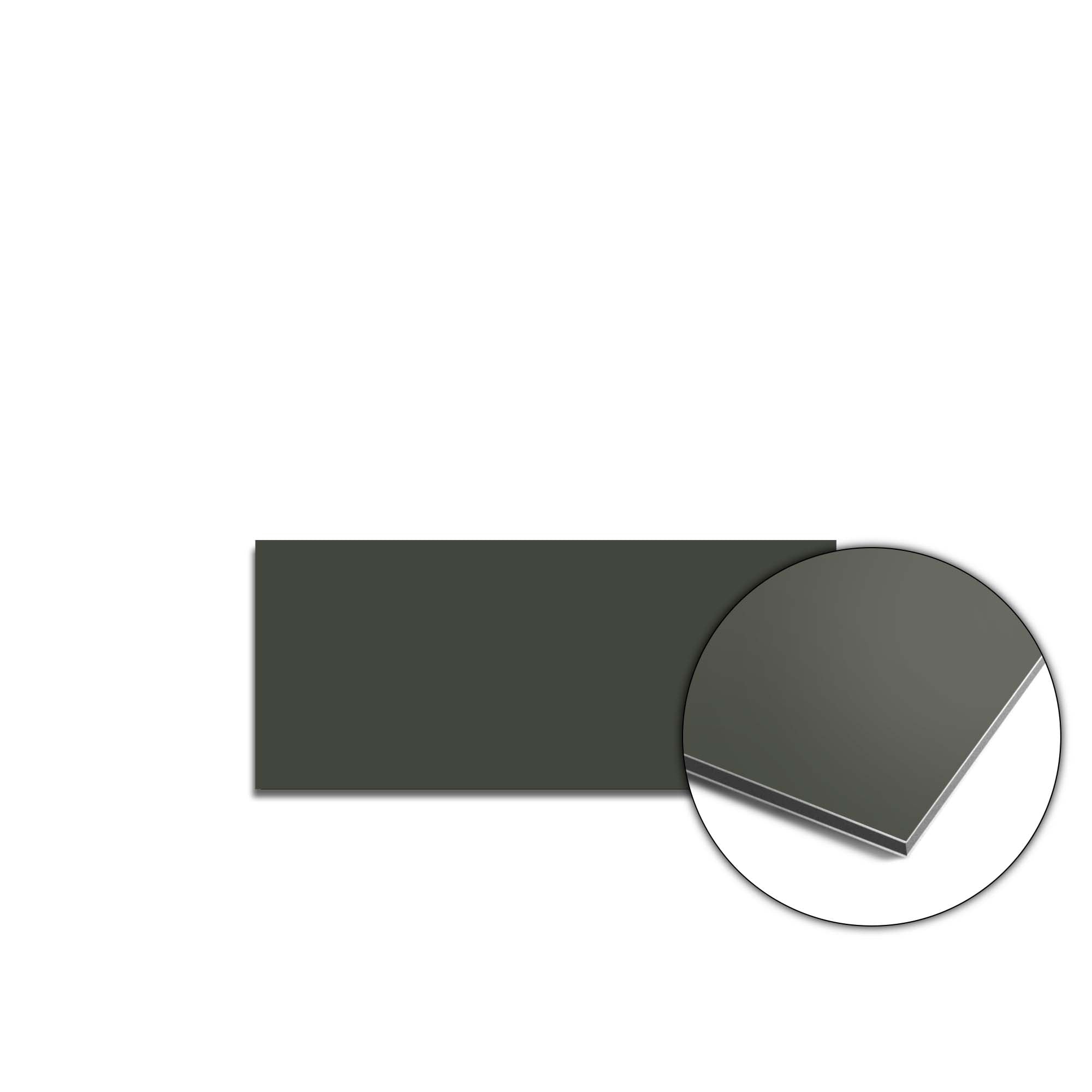 Climbing Ivy Spatscherm