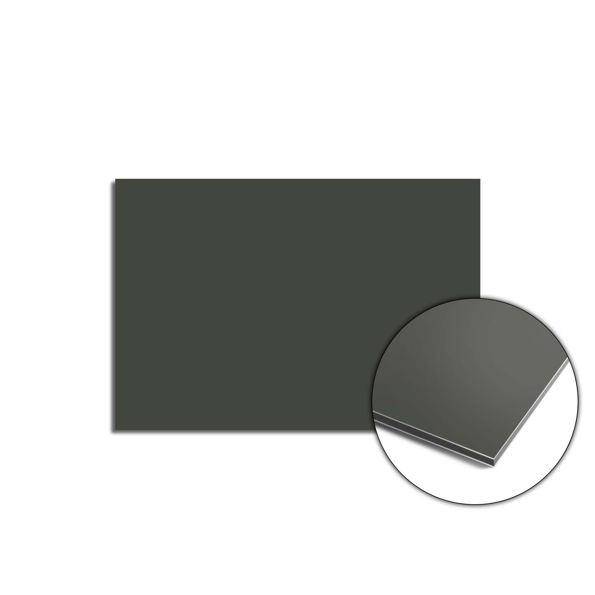 Climbing Ivy Spatscherm