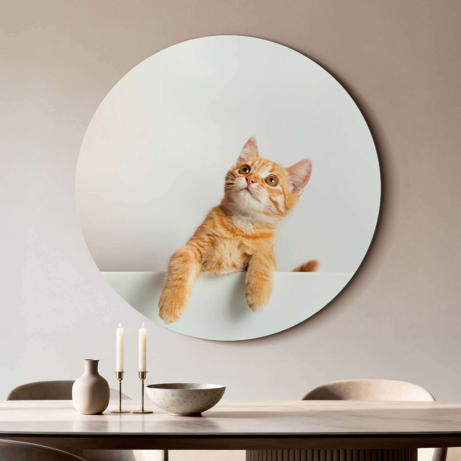 Amber Curiosity – Muurcirkel met een oranje kat op hoogwaardig aluminium dibond, perfect voor je interieur.