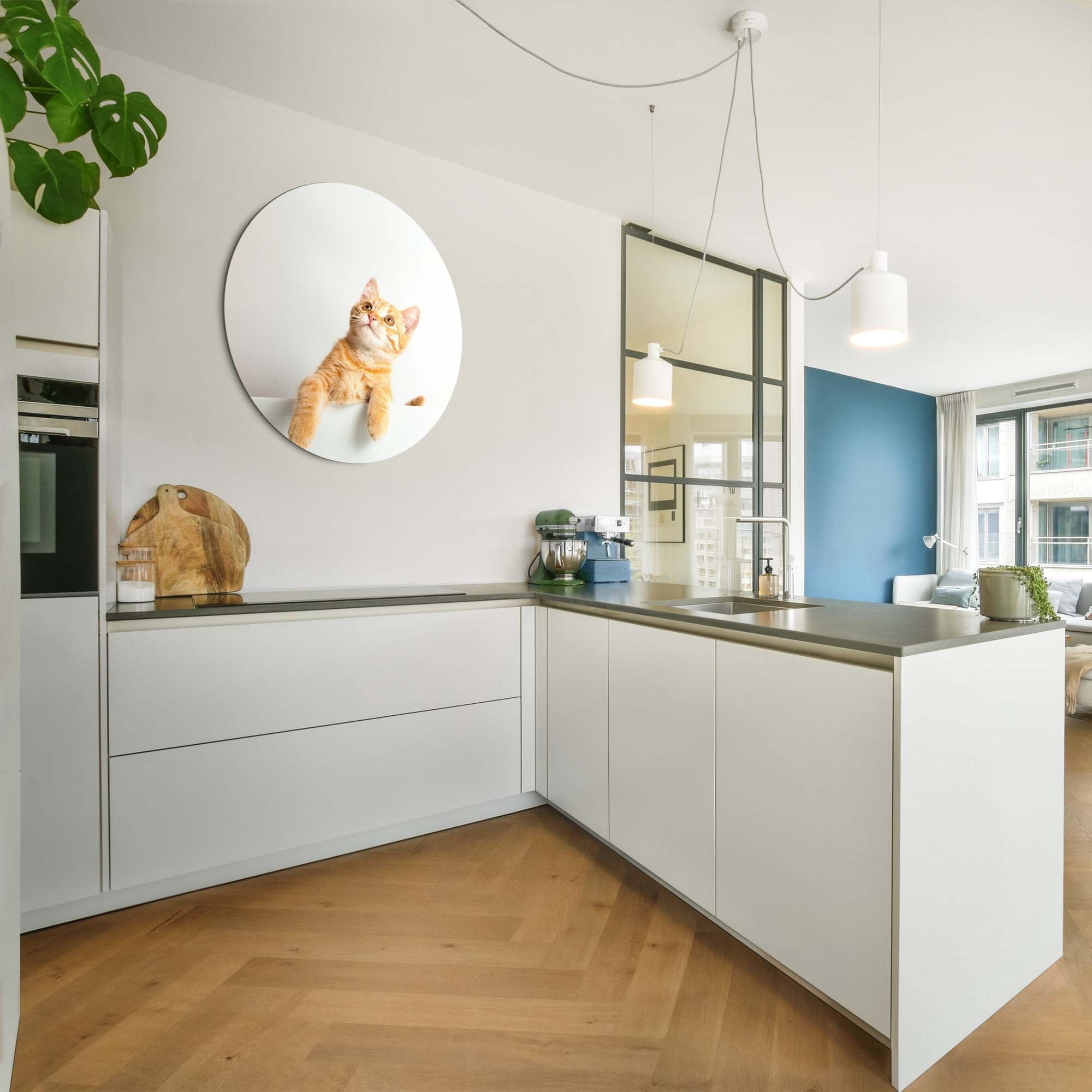 Amber Curiosity – Muurcirkel