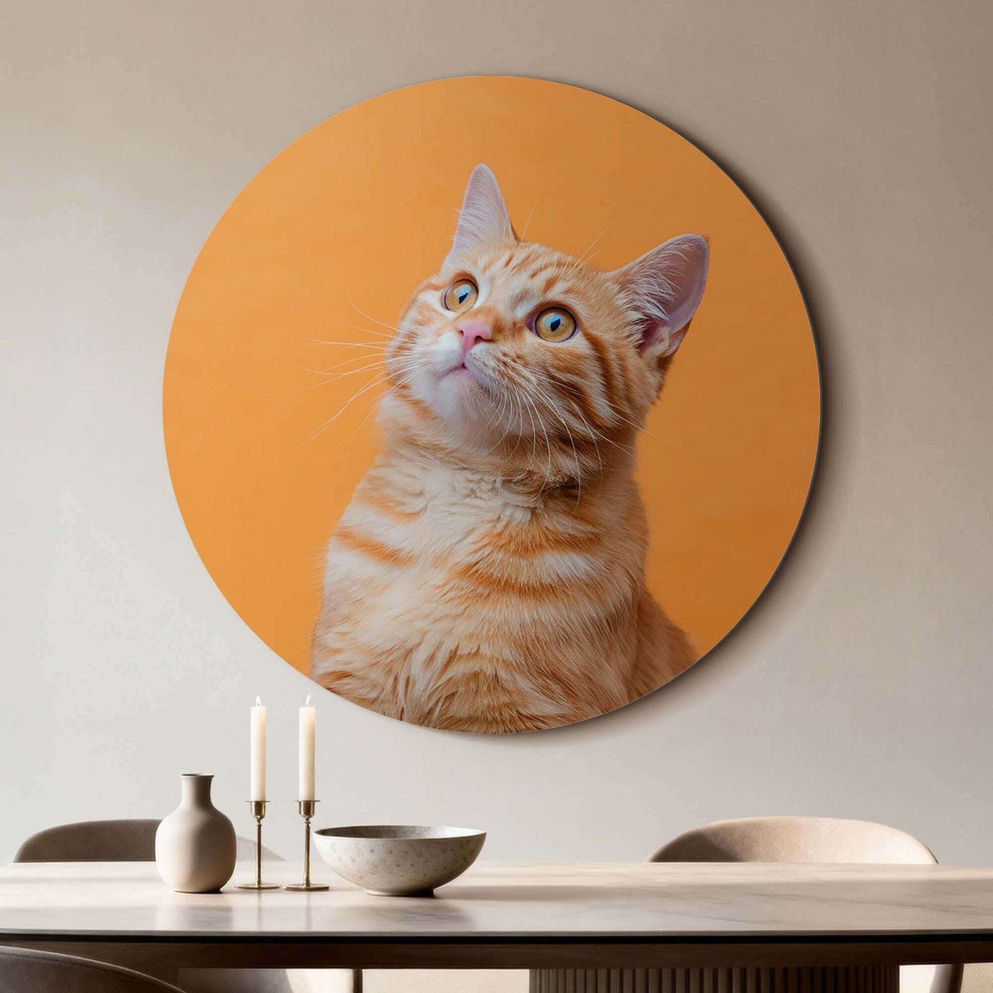 Amber Pop – Muurcirkel van een nieuwsgierige kat op hoogwaardig aluminium, perfect voor wanddecoratie.
