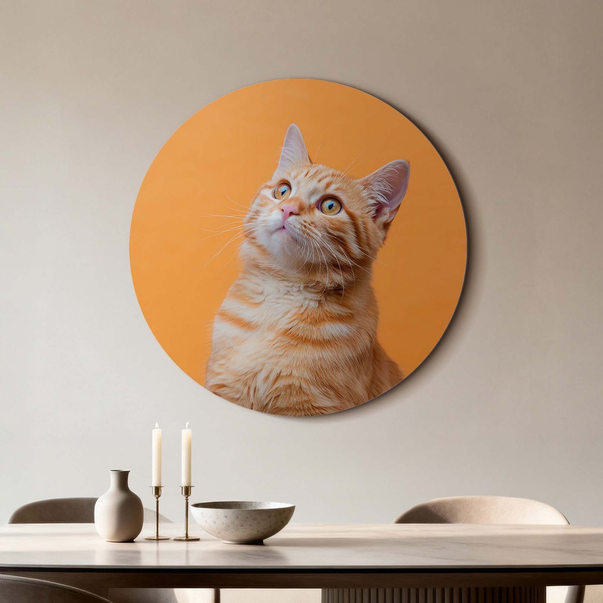 Amber Pop – Muurcirkel met nieuwsgierige kat op werken van hoogwaardig aluminium dibond.