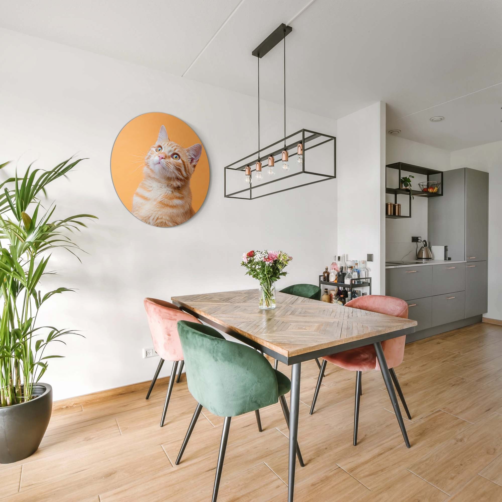 Amber Pop – Muurcirkel