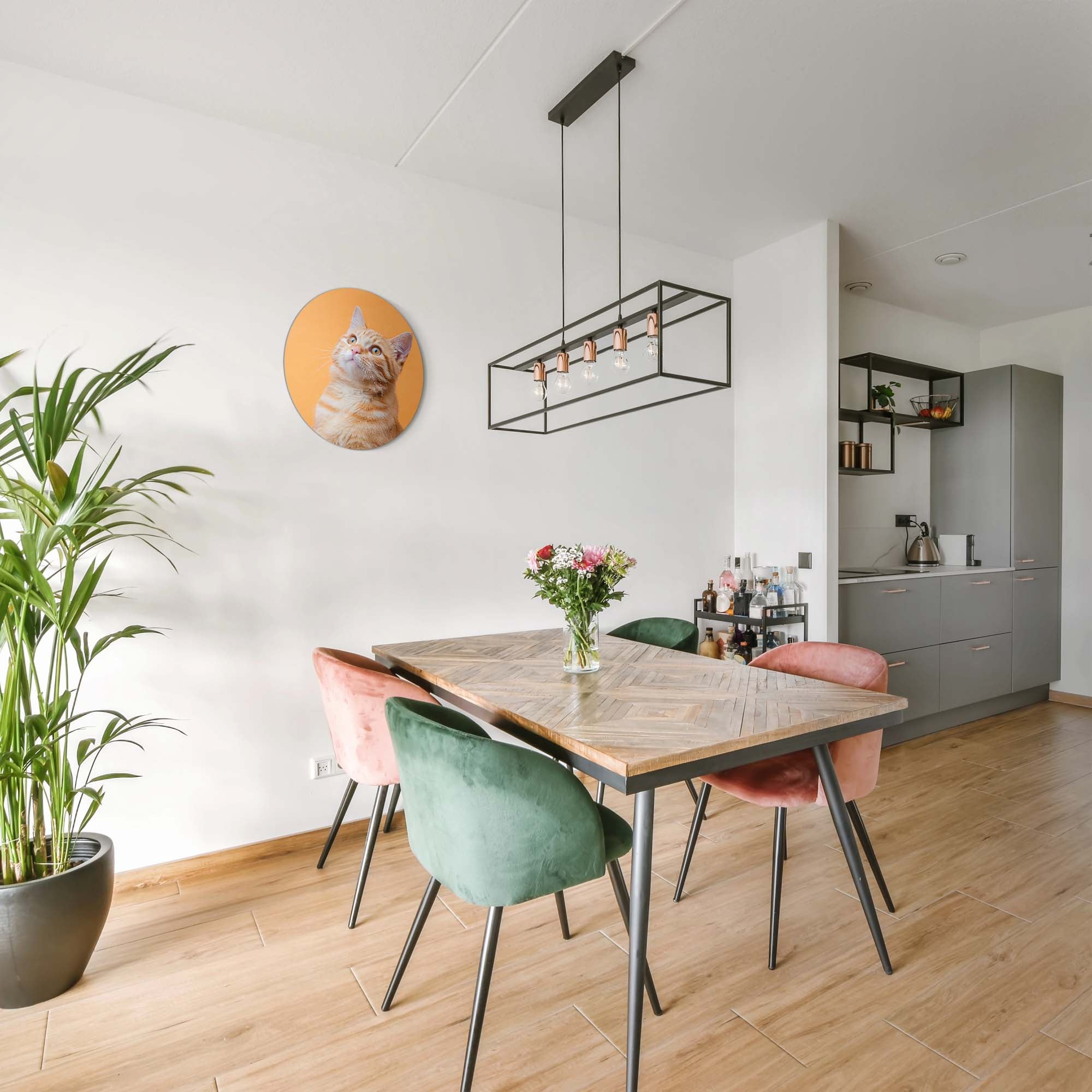 Amber Pop – Muurcirkel