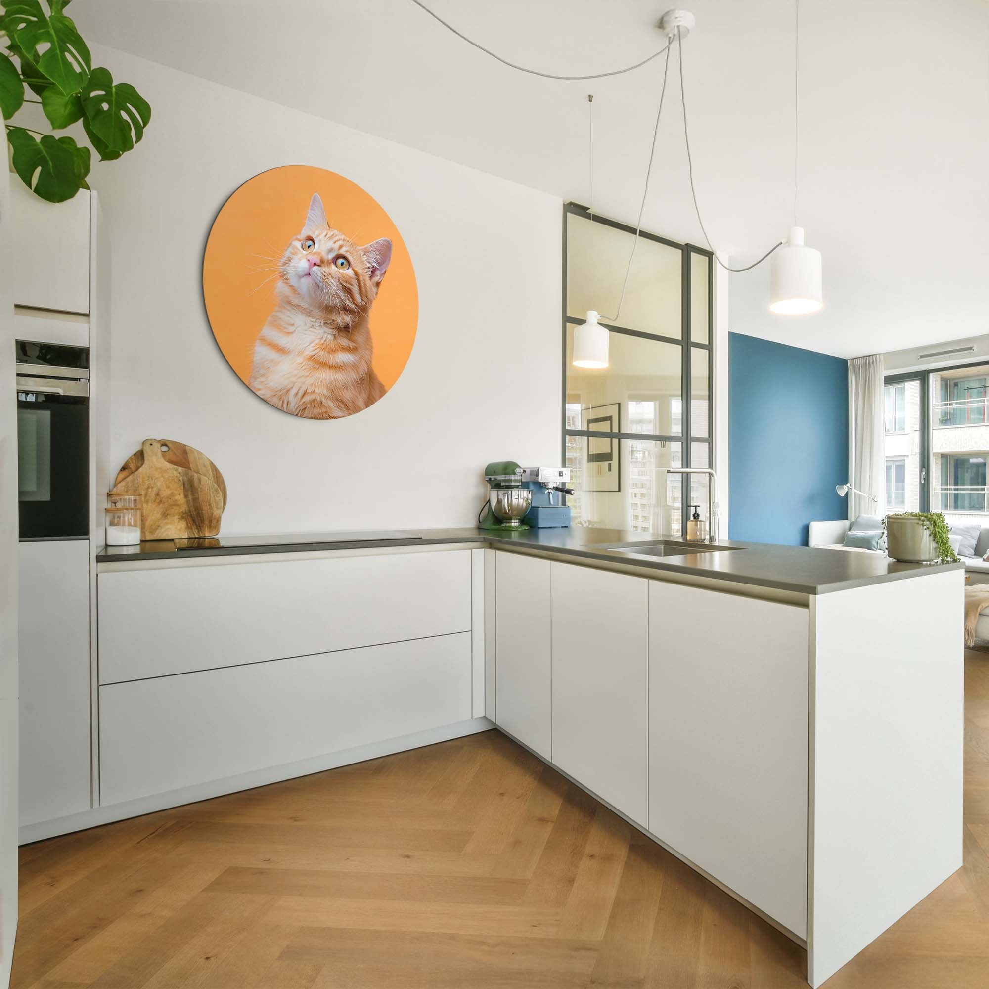 Amber Pop – Muurcirkel