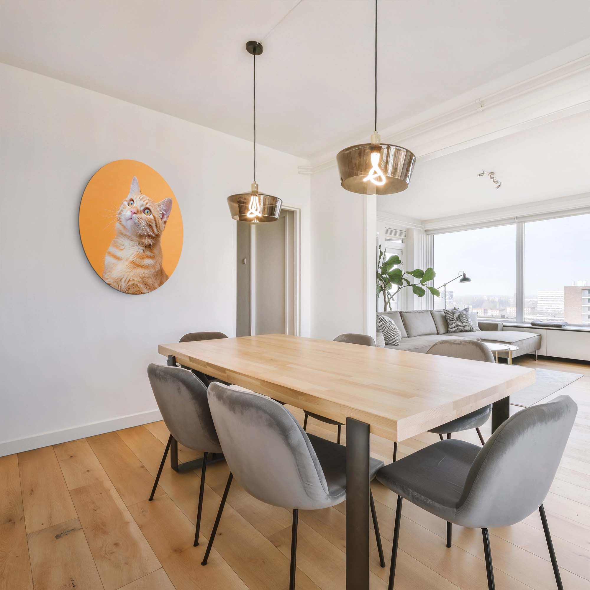 Amber Pop – Muurcirkel