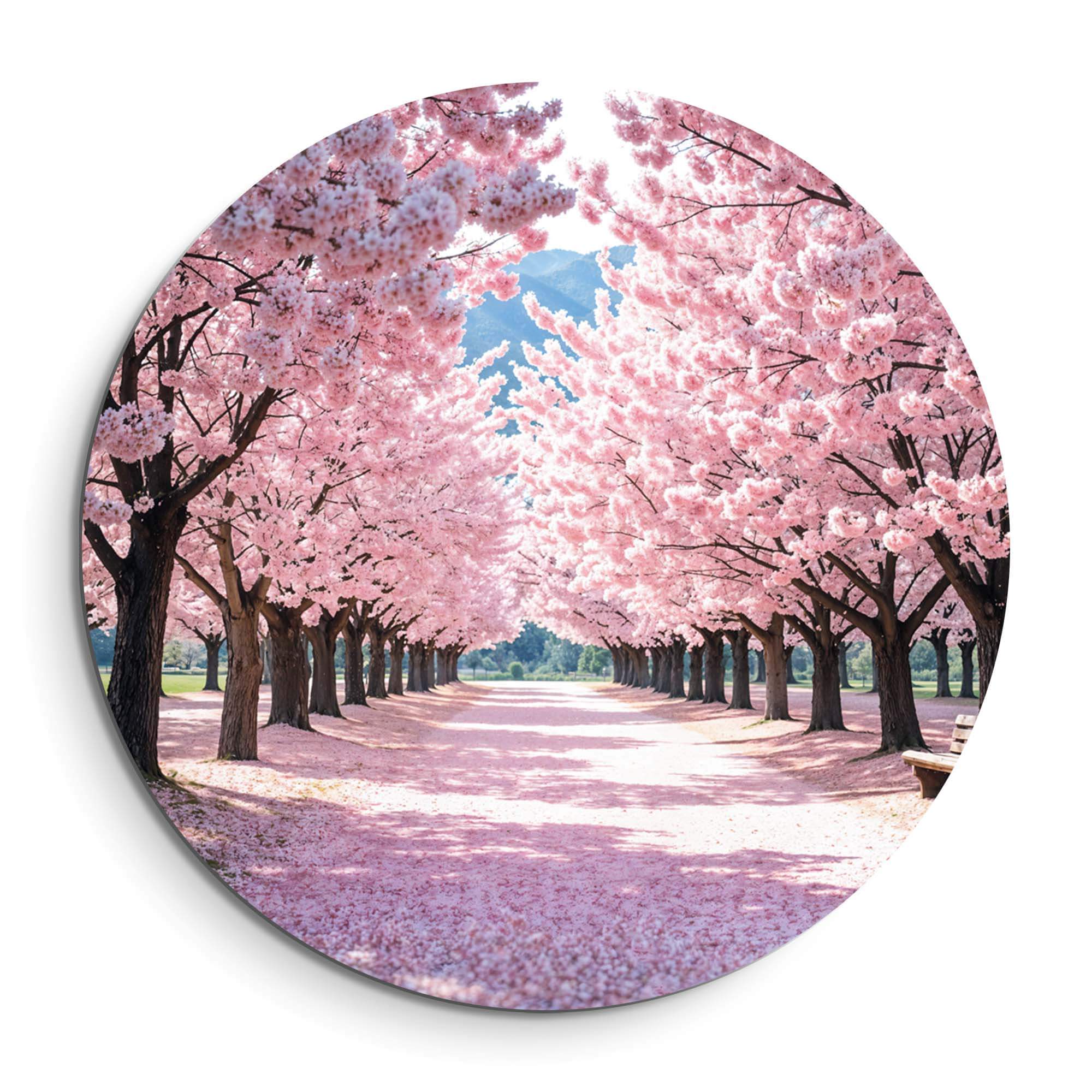 Blossom Avenue - Wandkreis mit rosa Blütenbäumen, ideal als Wanddekoration in Küche, Esszimmer oder Flur. Perfekte Wahl für einen Wandkreis.