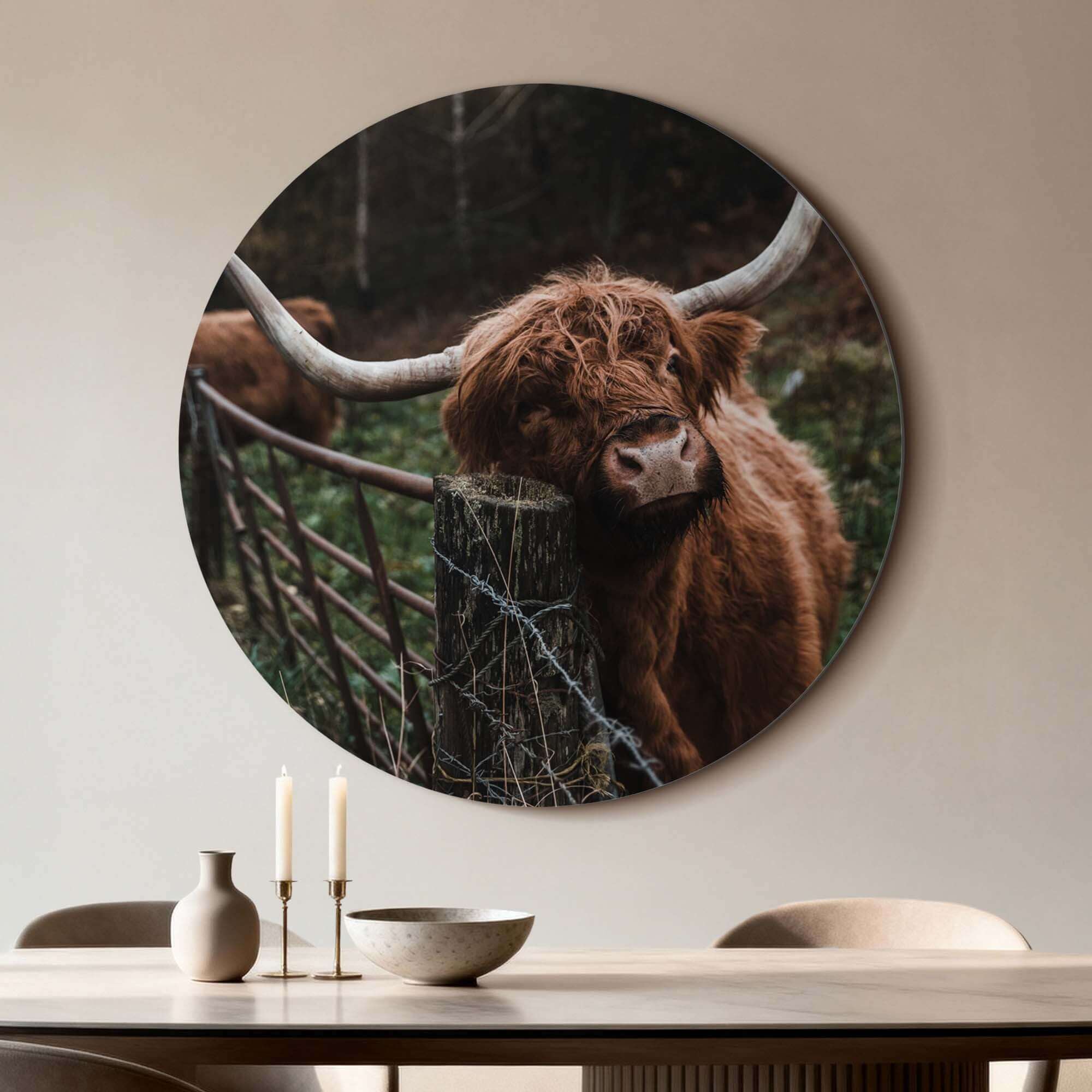 Schotse Hooglander bij het hek - Muurcirkel, sfeervolle wandcirkel met rustige uitstraling, scherp afgedrukt op aluminium dibond.