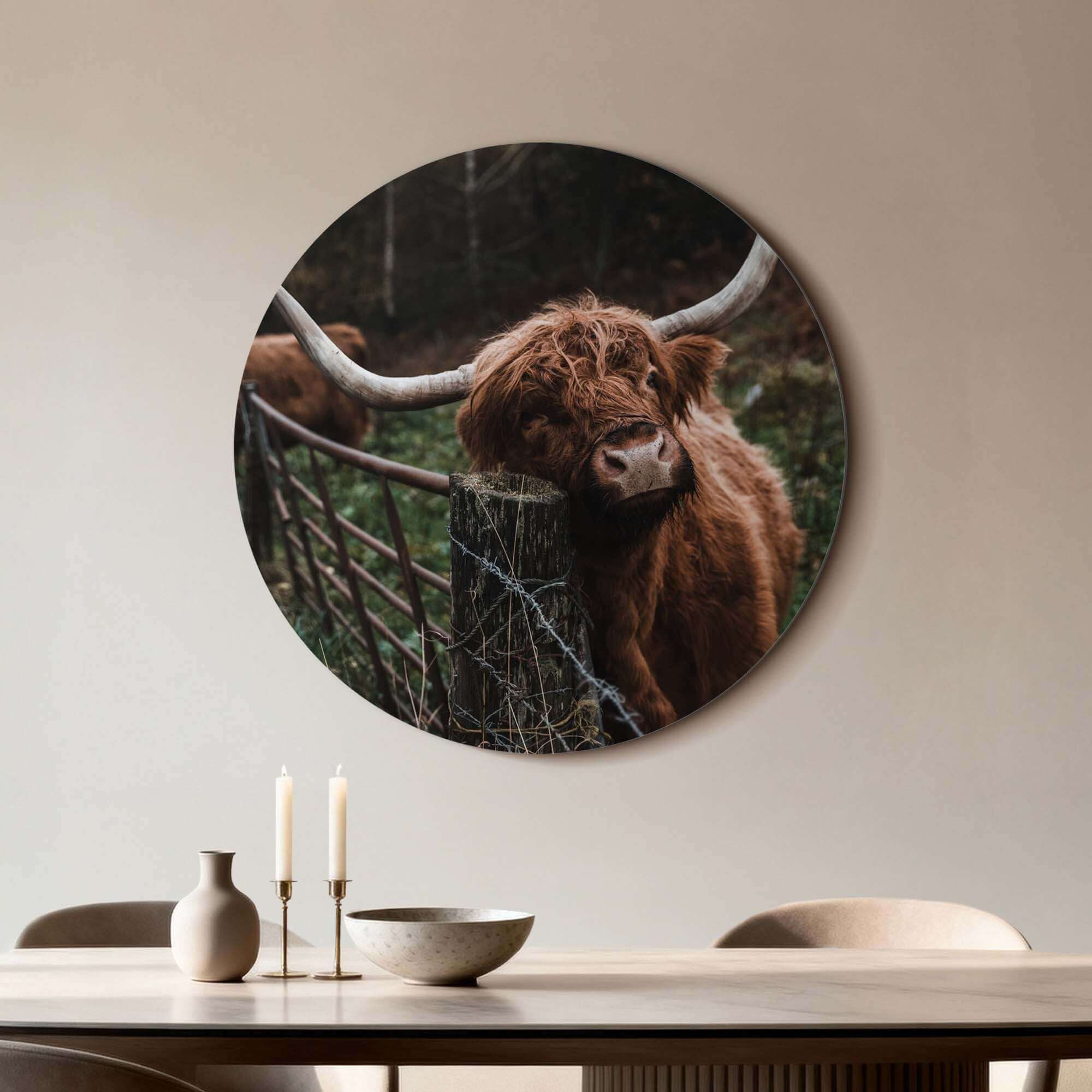 Muurcirkel met een Schotse Hooglander bij het hek op aluminium dibond, ideaal voor keuken of woonkamer, natuurlijke uitstraling.