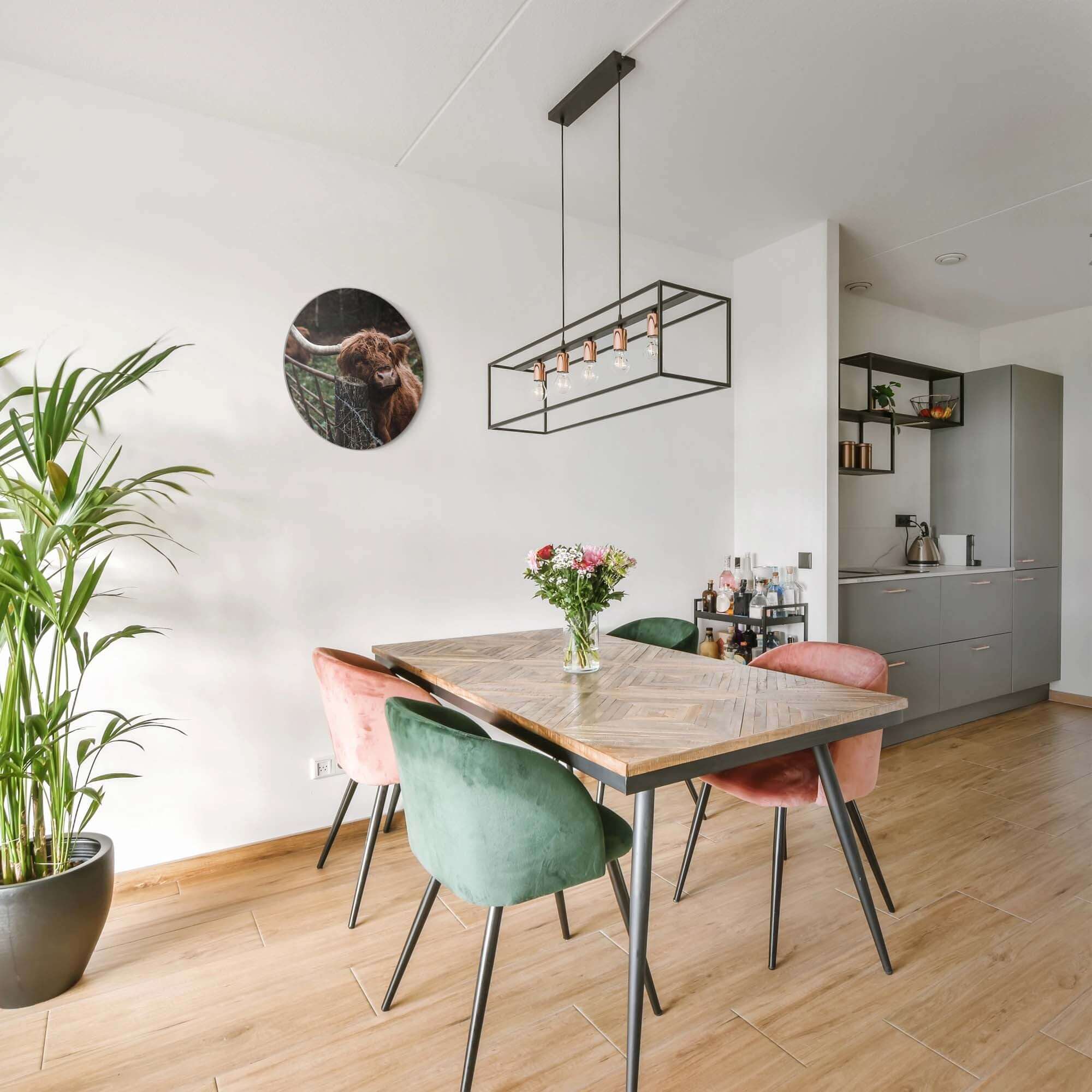 Schotse Hooglander bij het hek - Muurcirkel