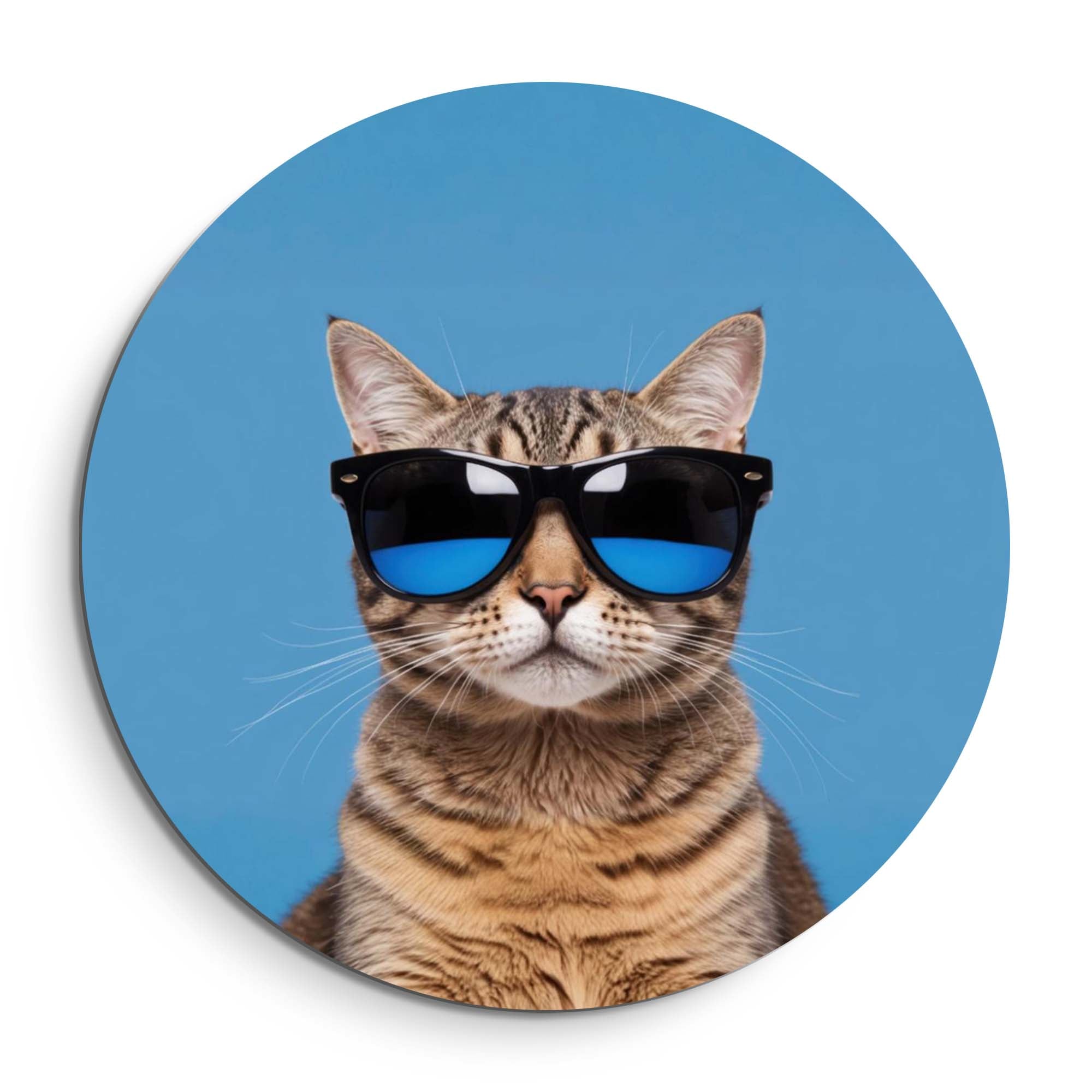 Cool Cat Vibes – Muurcirkel