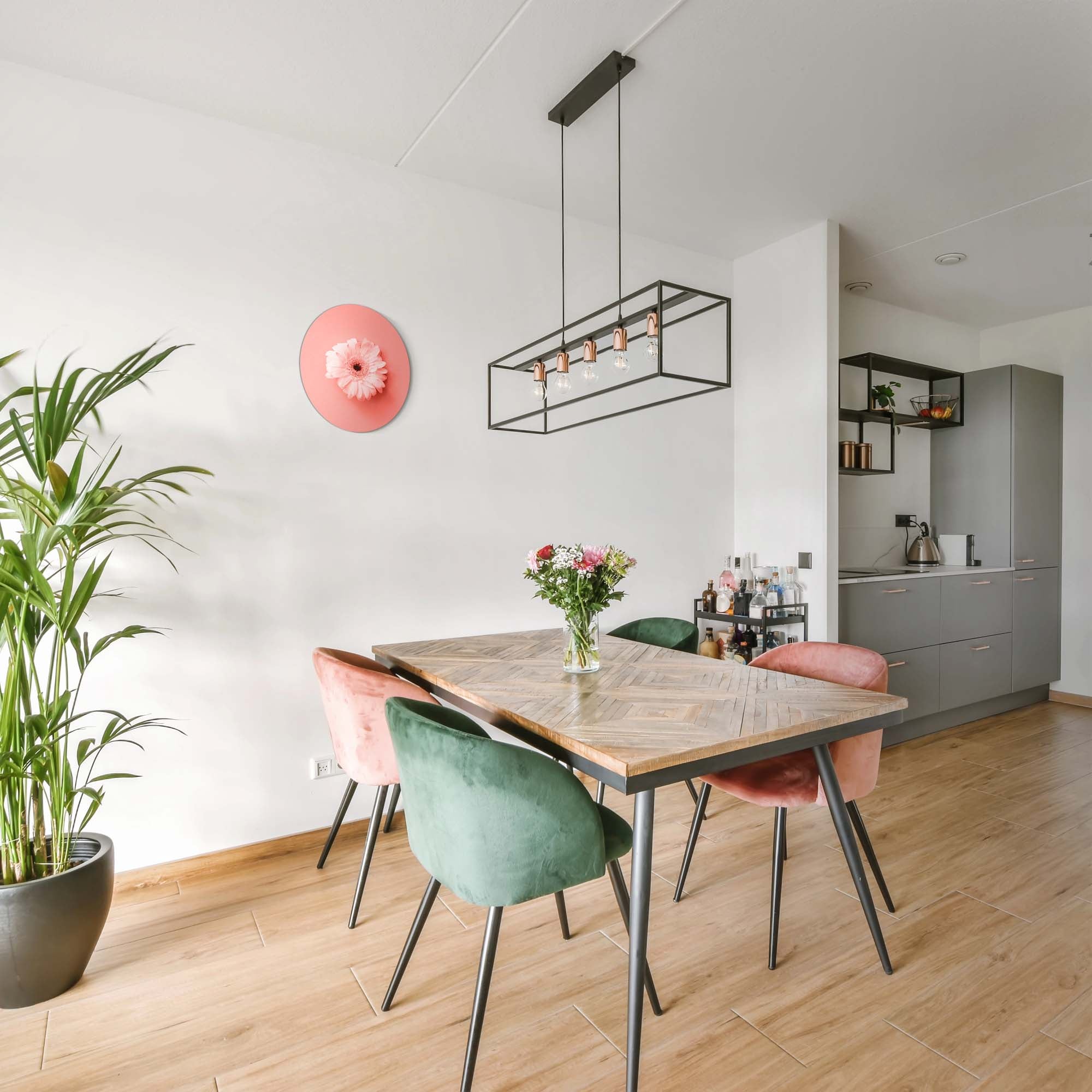 Coral Gerbera – Muurcirkel