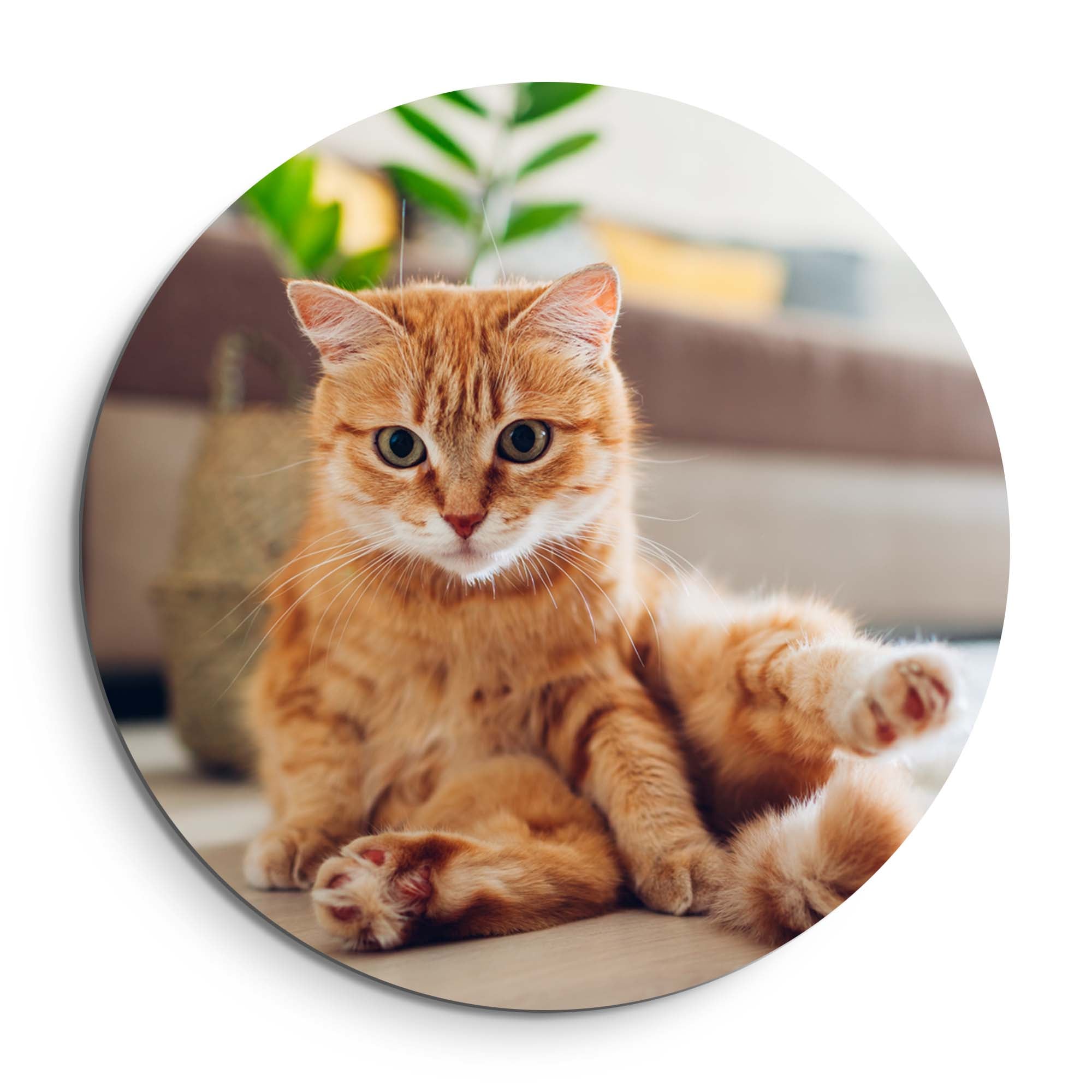 Cozy Charm – Muurcirkel