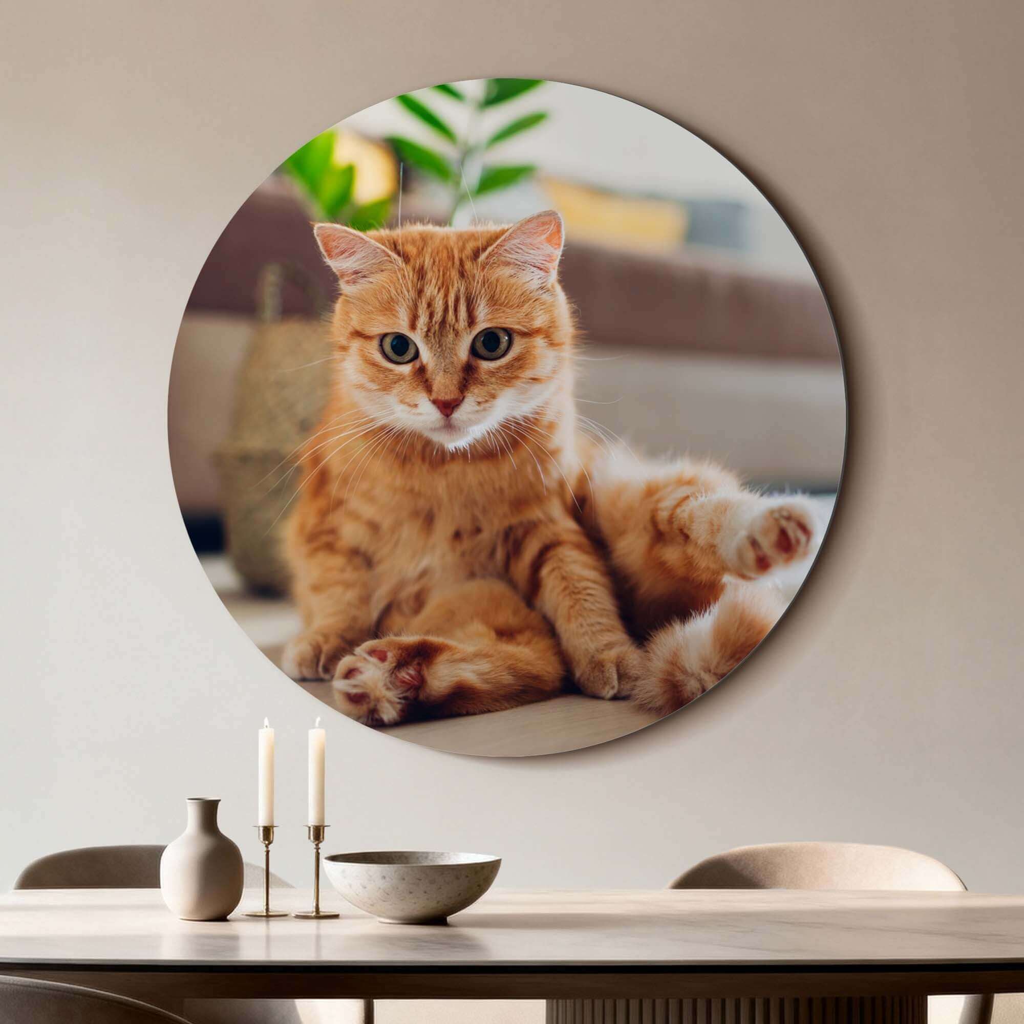 Cozy Charm - Wandkreis einer entspannten Katze auf hochwertigem Aluminium-Dibond für stimmungsvolle Innenräume.