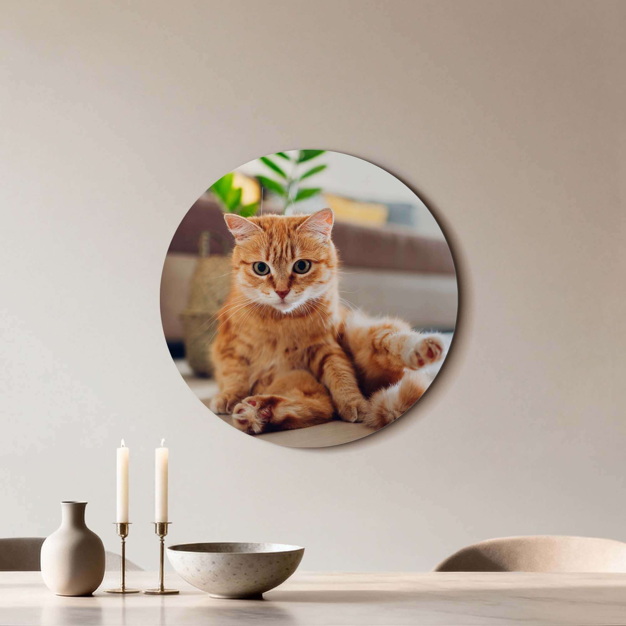Cozy Charm - Wandkreis mit Bild einer entspannten Katze, perfekt für die Inneneinrichtung.