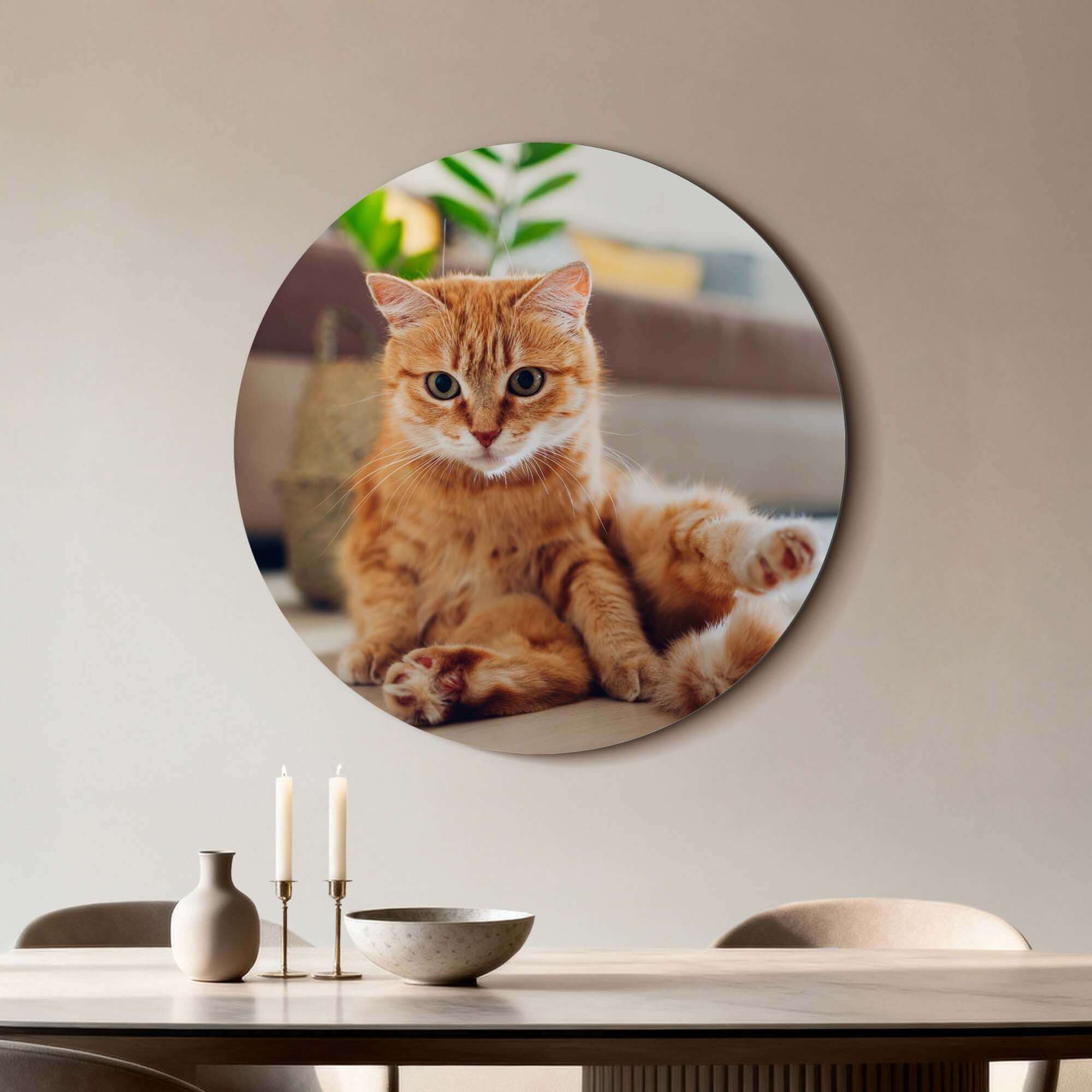 Cozy Charm - Wandkreis einer entspannten Katze, perfekt für ein gemütliches Interieur.