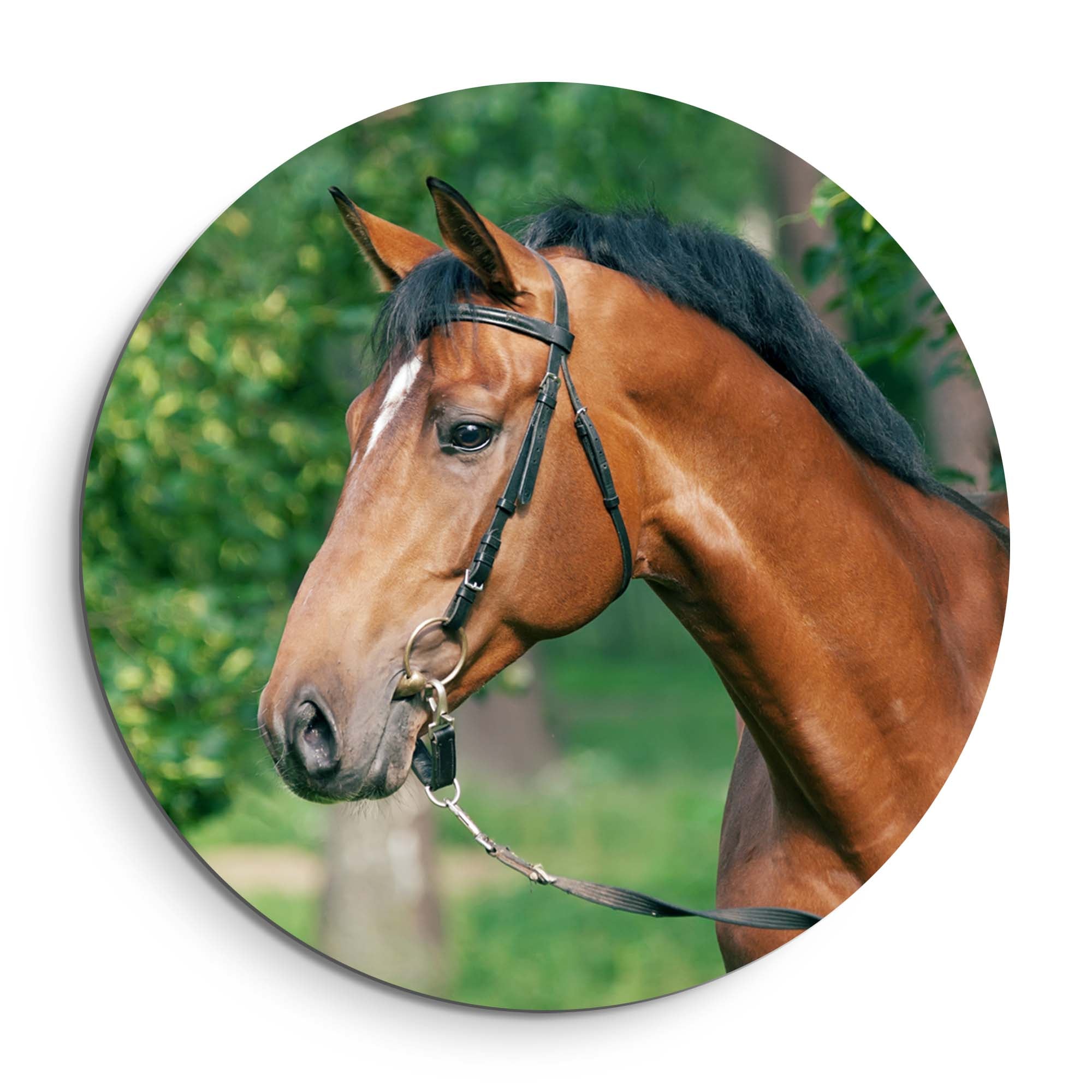 Gentle Strength - Muurcirkel