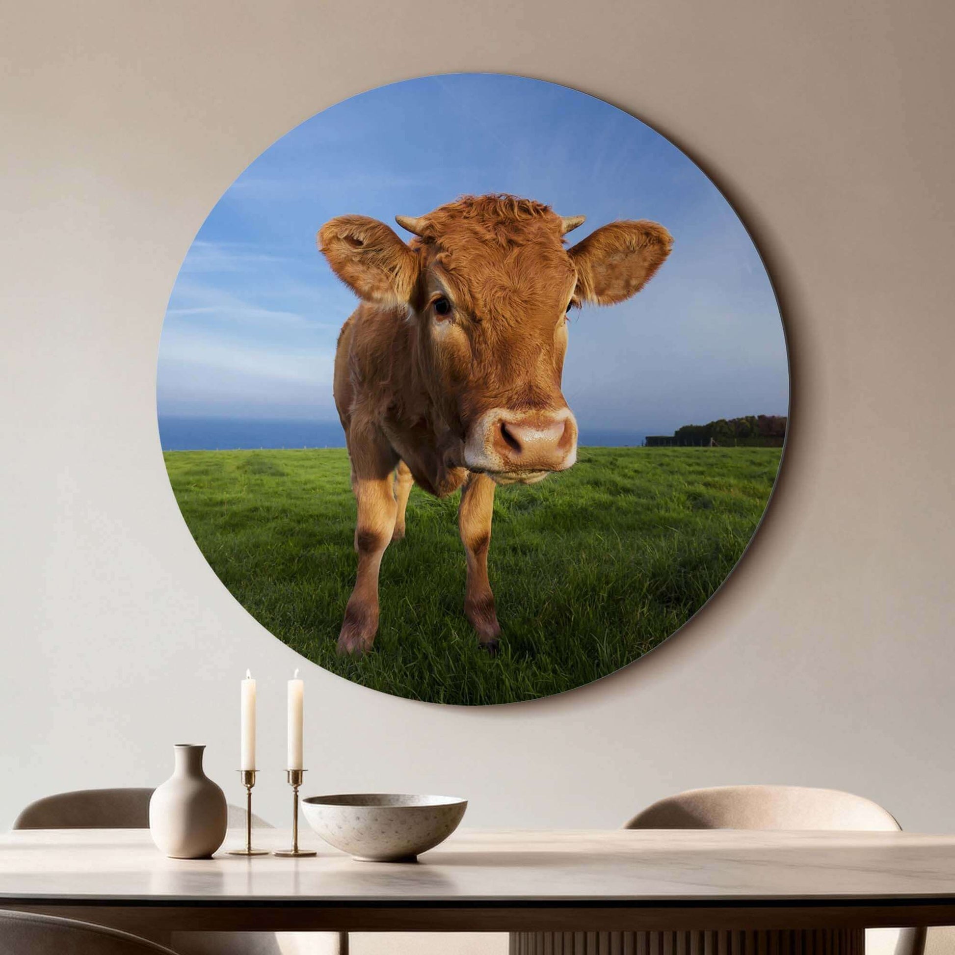 Kalb auf der Weide - Wandkreis aus hochwertigem Aluminium-Dibond mit neugierigem Kalb auf der Weide, geeignet als dekorativer Wandkreis.