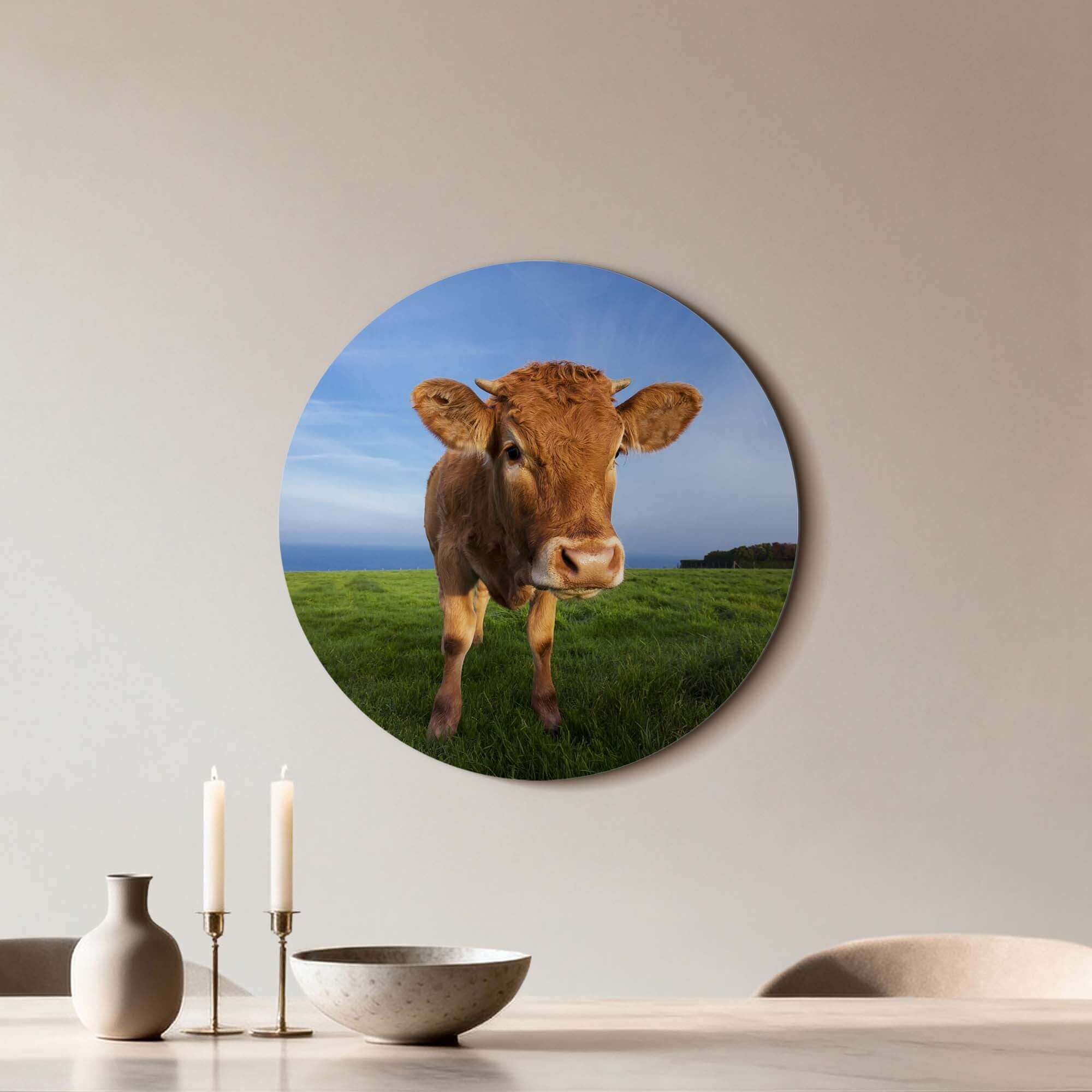 Kalb auf der Wiese - Wandkreis mit neugierigem Kalb auf der Wiese Dekor für Küche oder Wohnzimmer. Premium Aluminium Dibond Wandkreis.