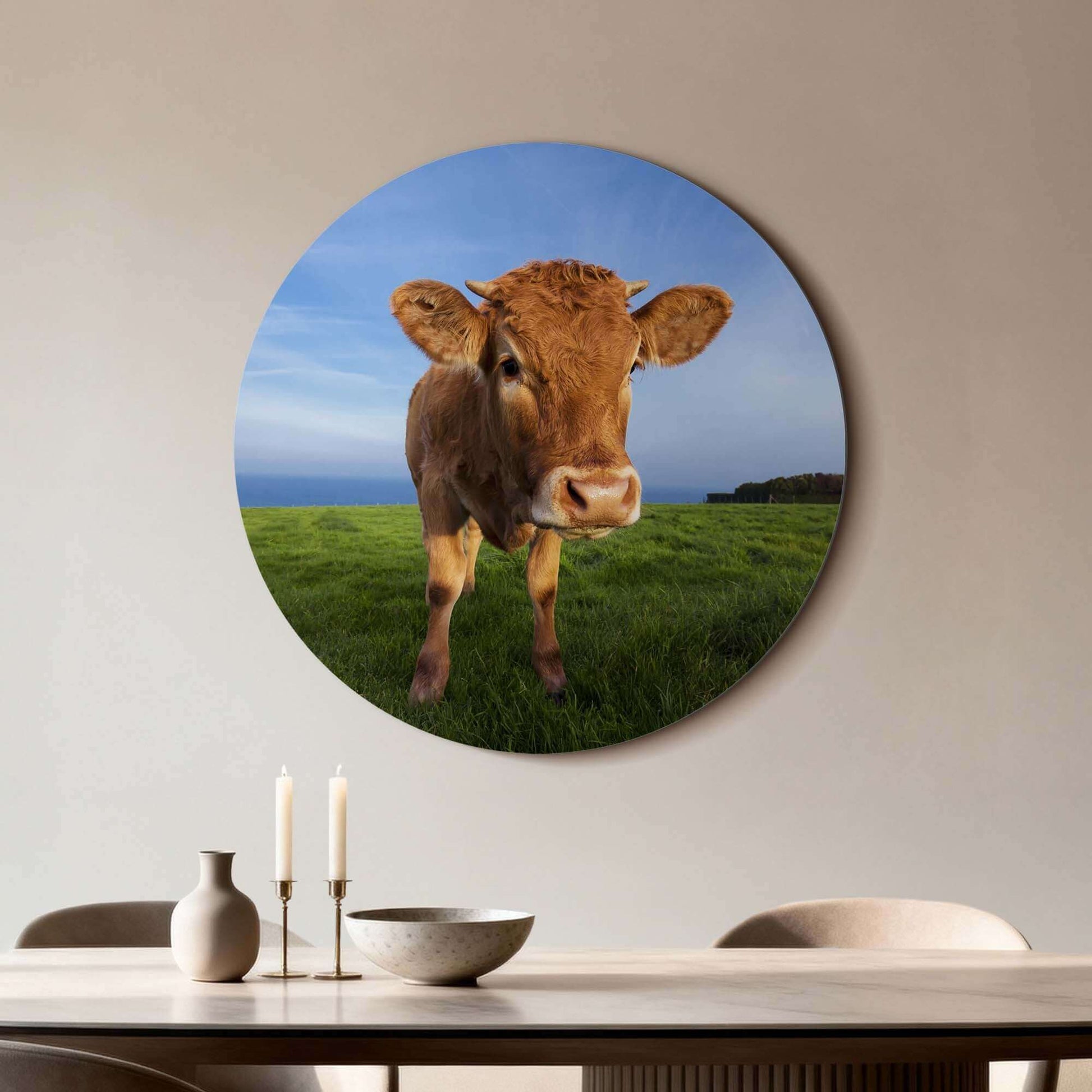 Kalb auf der Wiese - Wandkreis, hochwertiger Wandkreis aus Aluminium-Dibond mit einem neugierigen Kalb, ideale Ergänzung für Ihr Interieur.