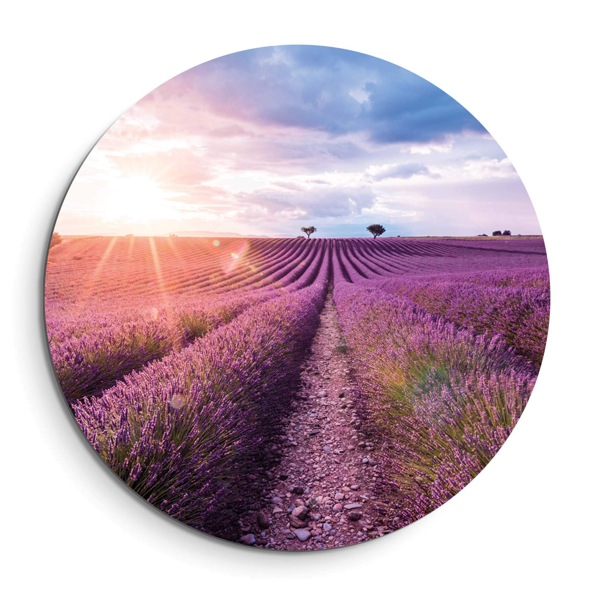 Lavender Horizon - Muurcirkel: Betoverende muurcirkel met lavendelvelden en avondlicht. Perfecte wandcirkel voor keuken of eetkamer.