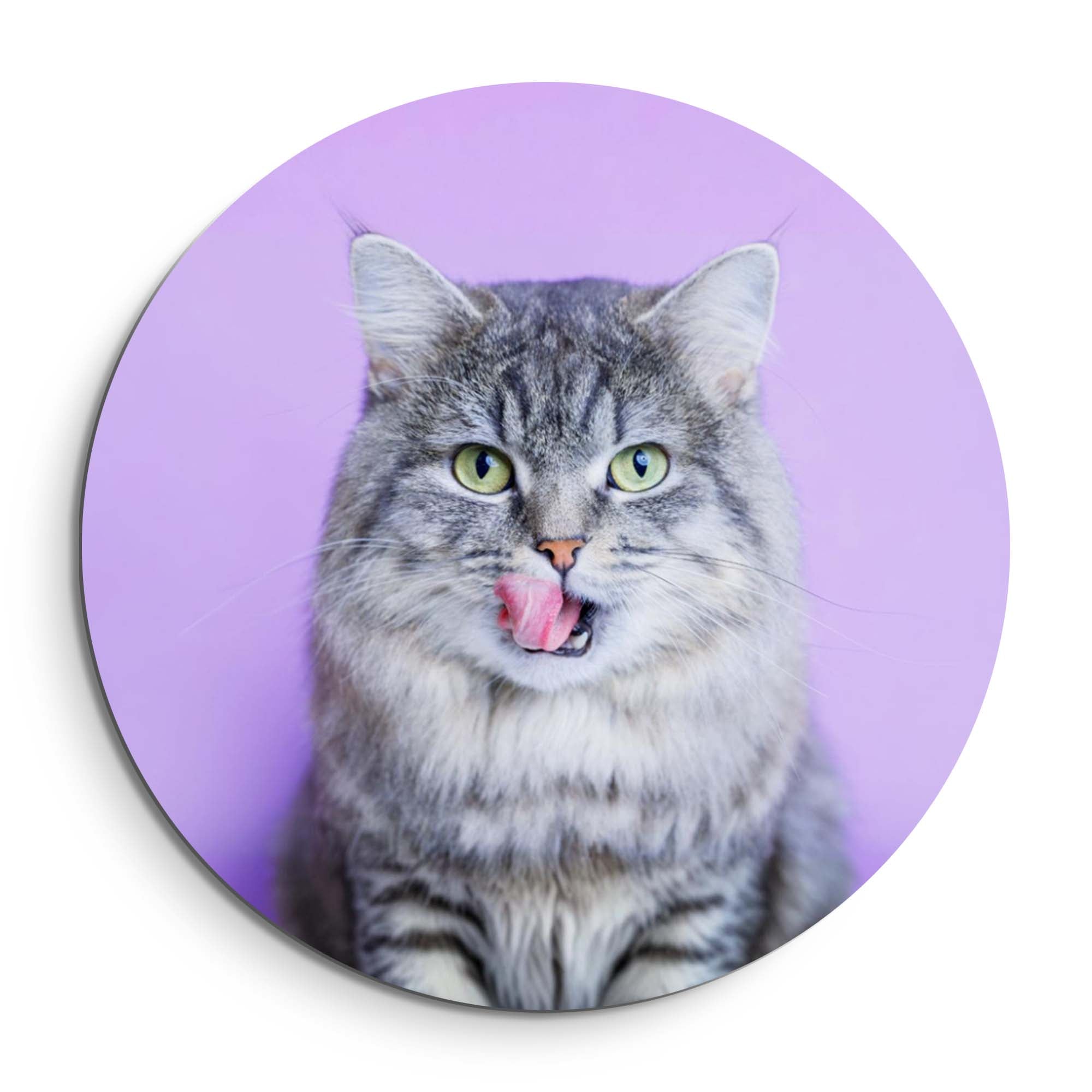 Lavender Lick – Muurcirkel