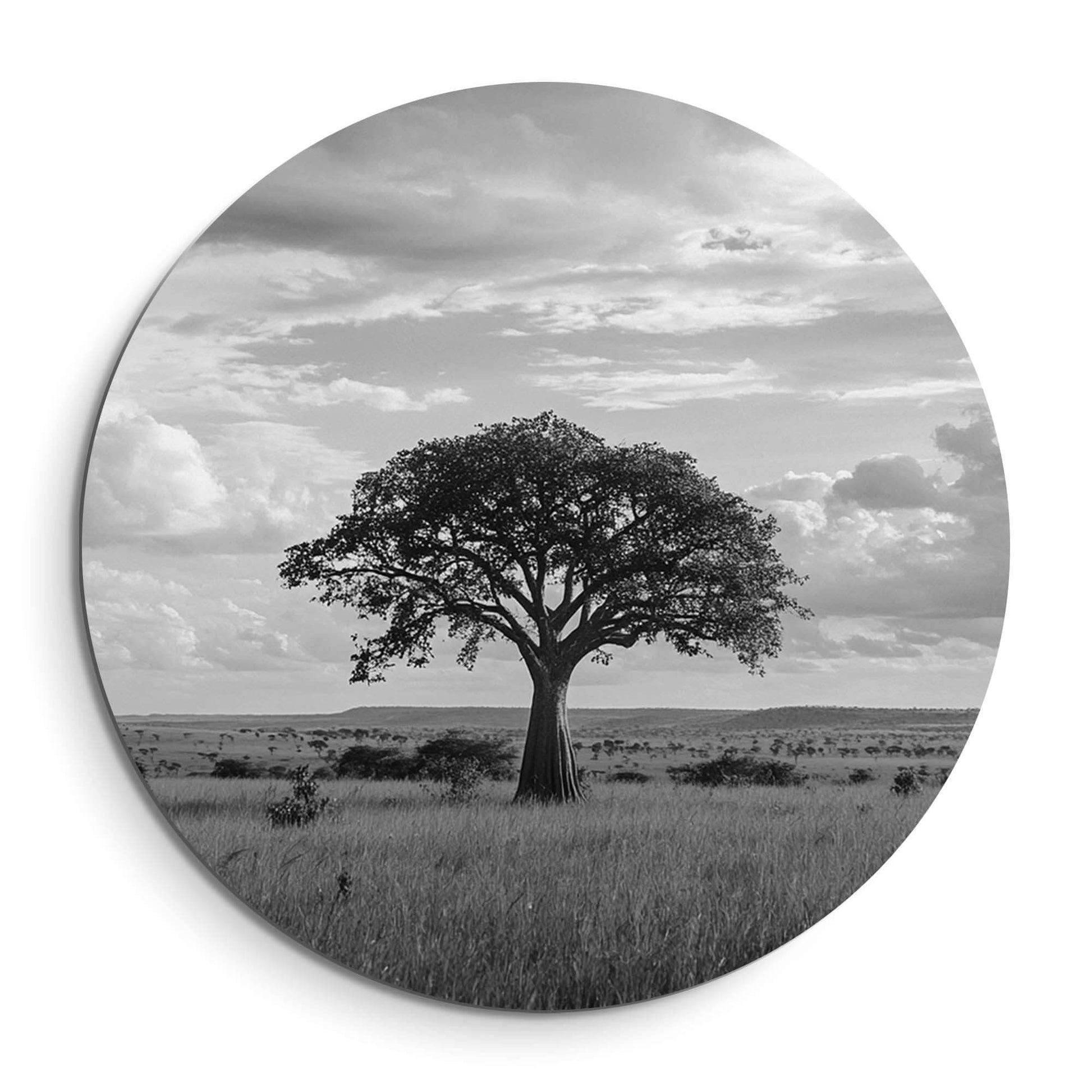 Lone Horizon - Muurcirkel met een solitaire boom aan de horizon, serene zwart-wit wandcirkel voor woonkamer of keukendecor.