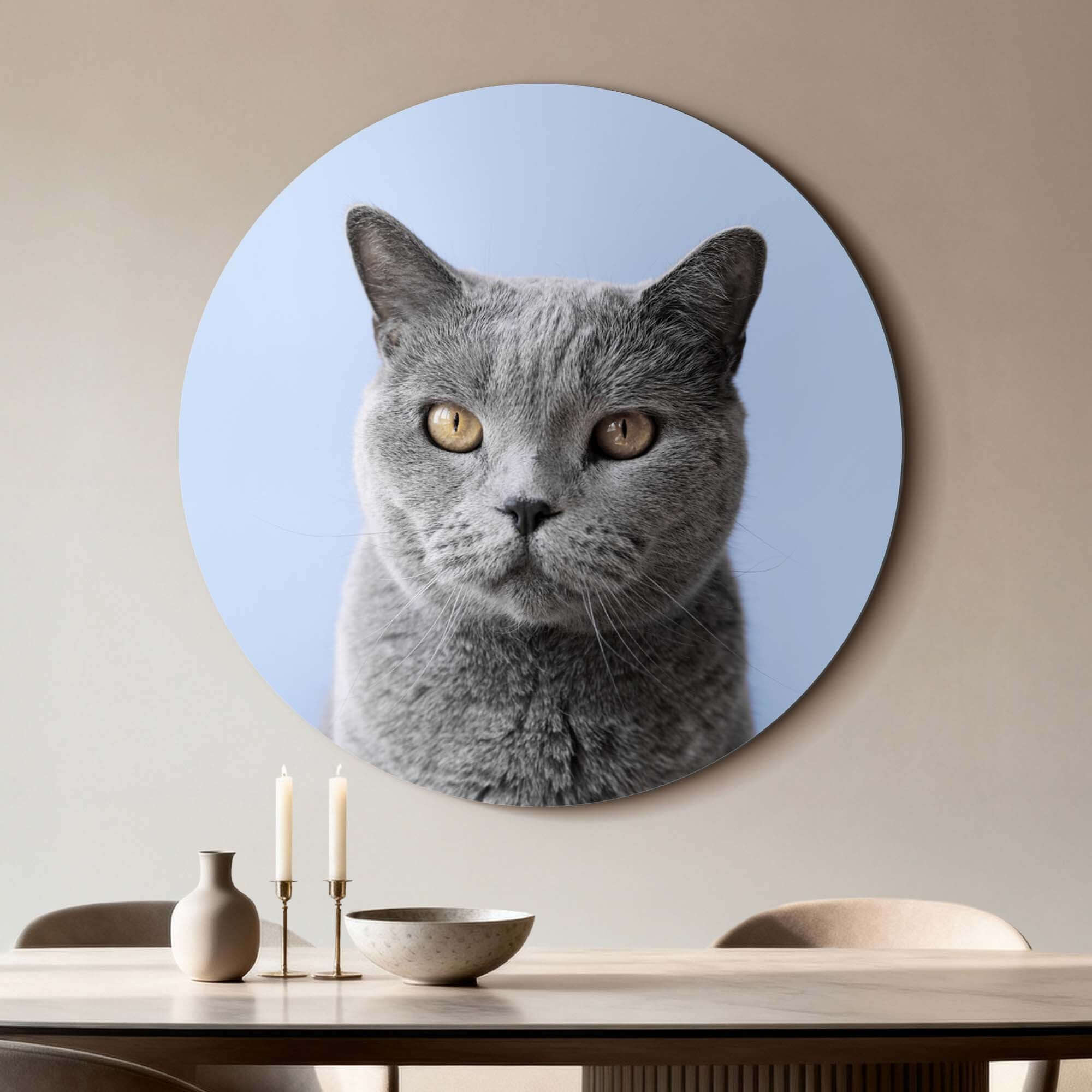 Misty Mood – Muurcirkel met een stijlvolle grijze kat op een zachte blauwe achtergrond, perfect voor elk interieur.