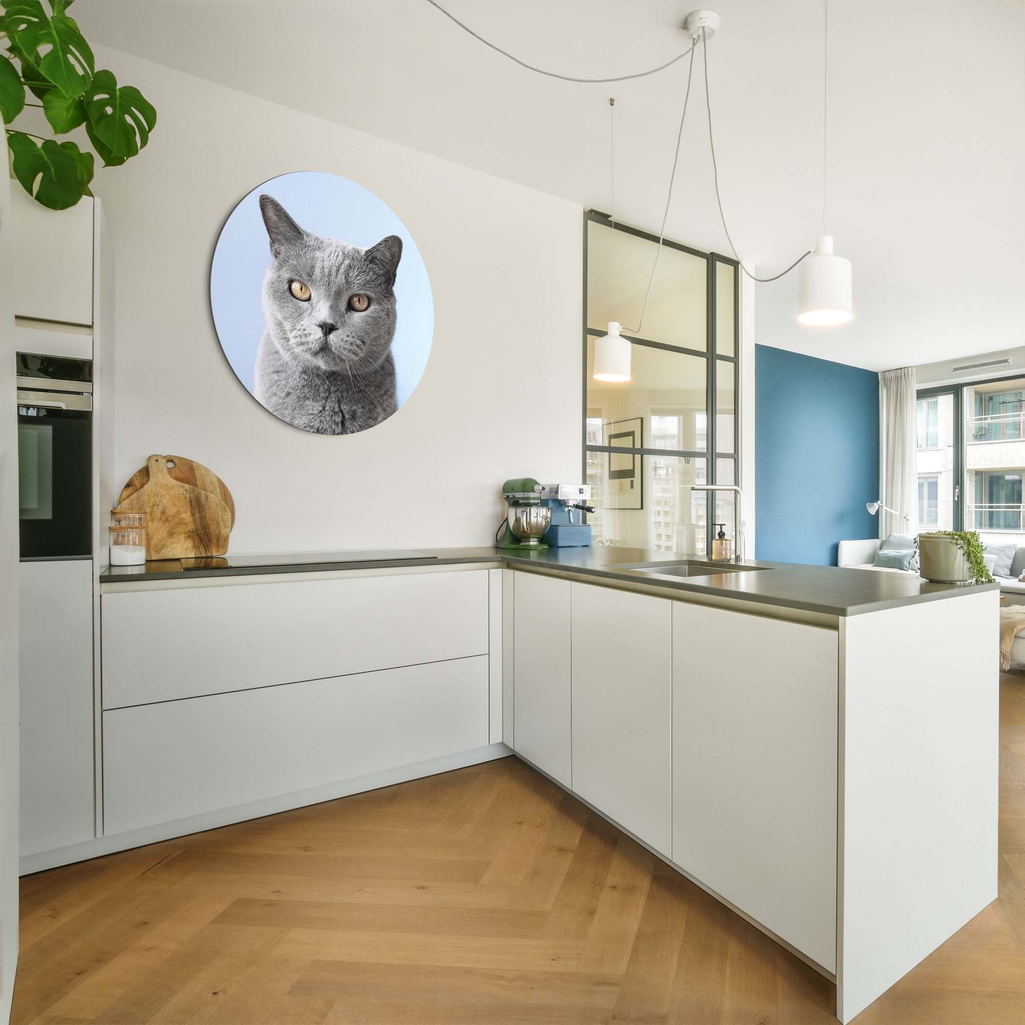 Misty Mood – Muurcirkel