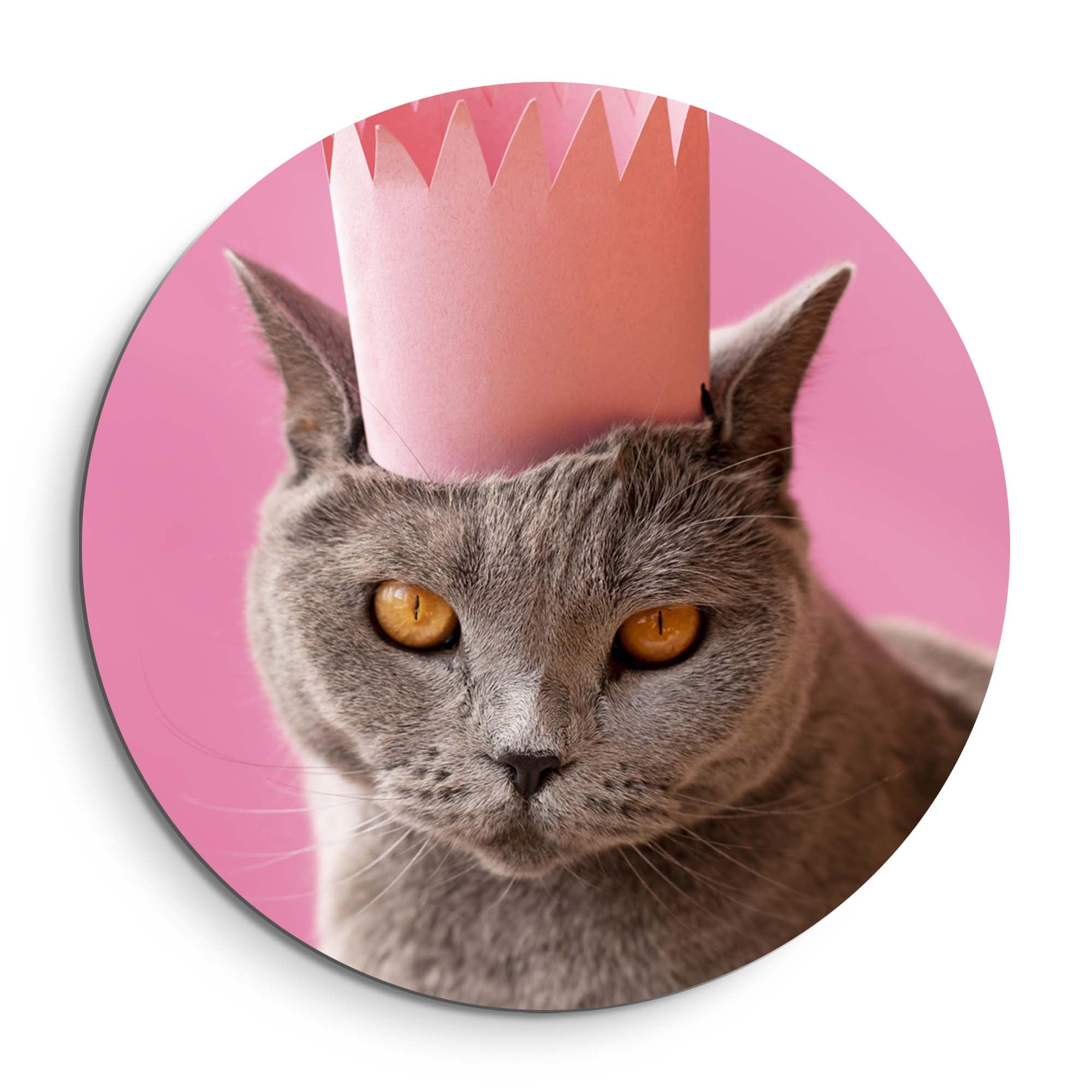 Regal Whiskers – Muurcirkel