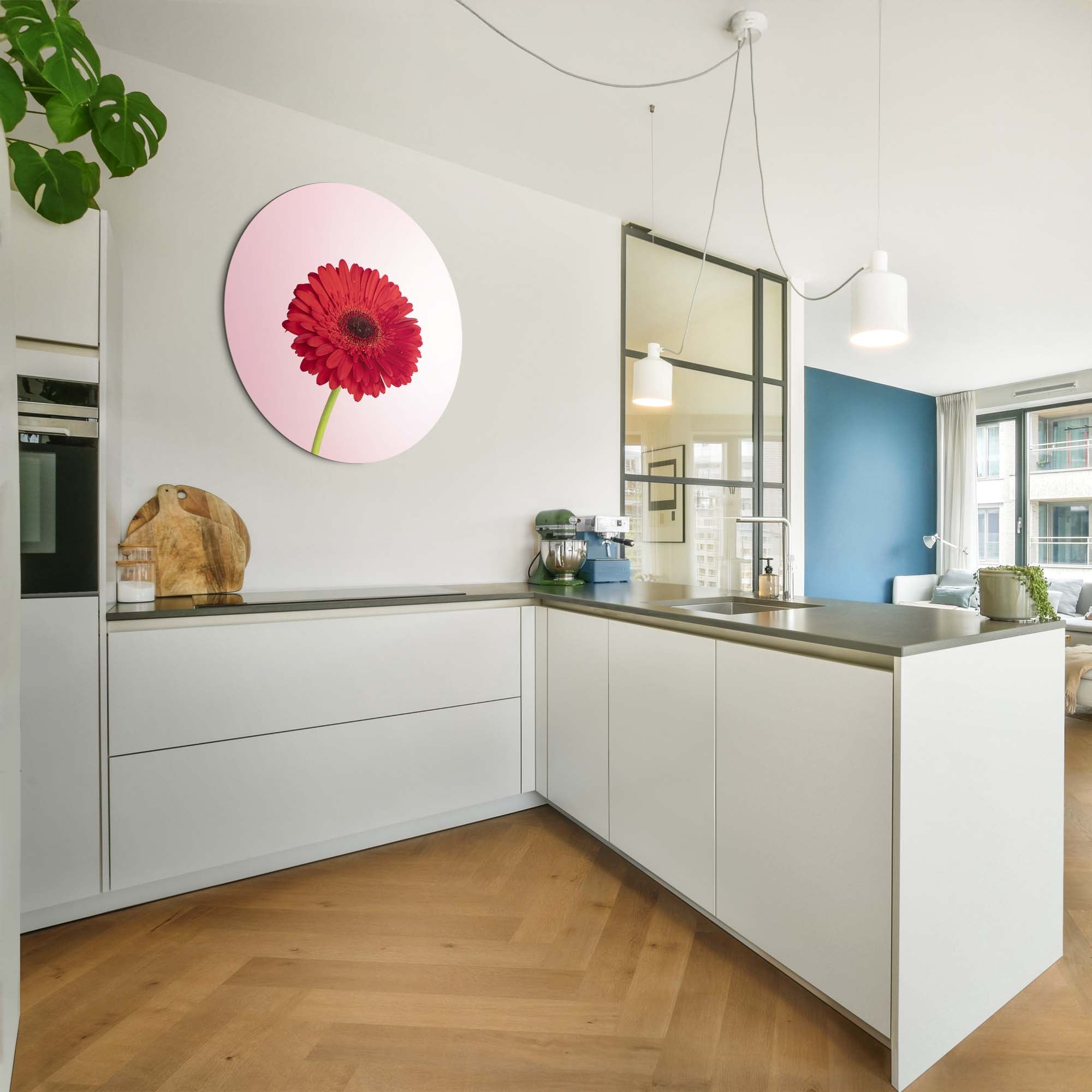 Rode Gerbera – Muurcirkel