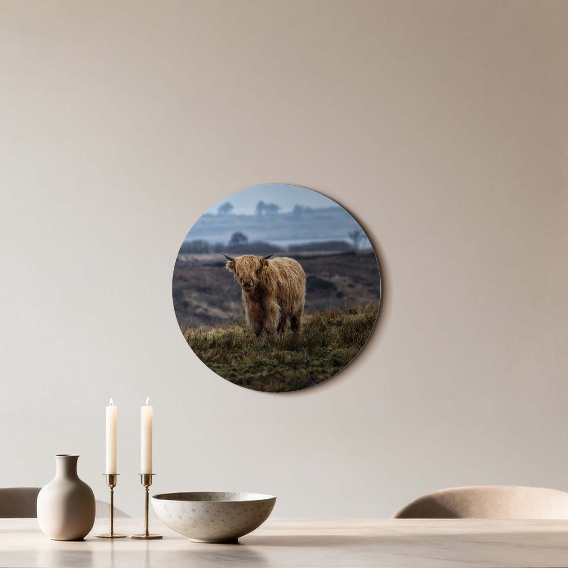 Schotse Hooglander in het veld – Muurcirkel op aluminium, natuurmuurdecoratie voor woonkamer, keuken, eetkamer, wandcirkel ontwerp