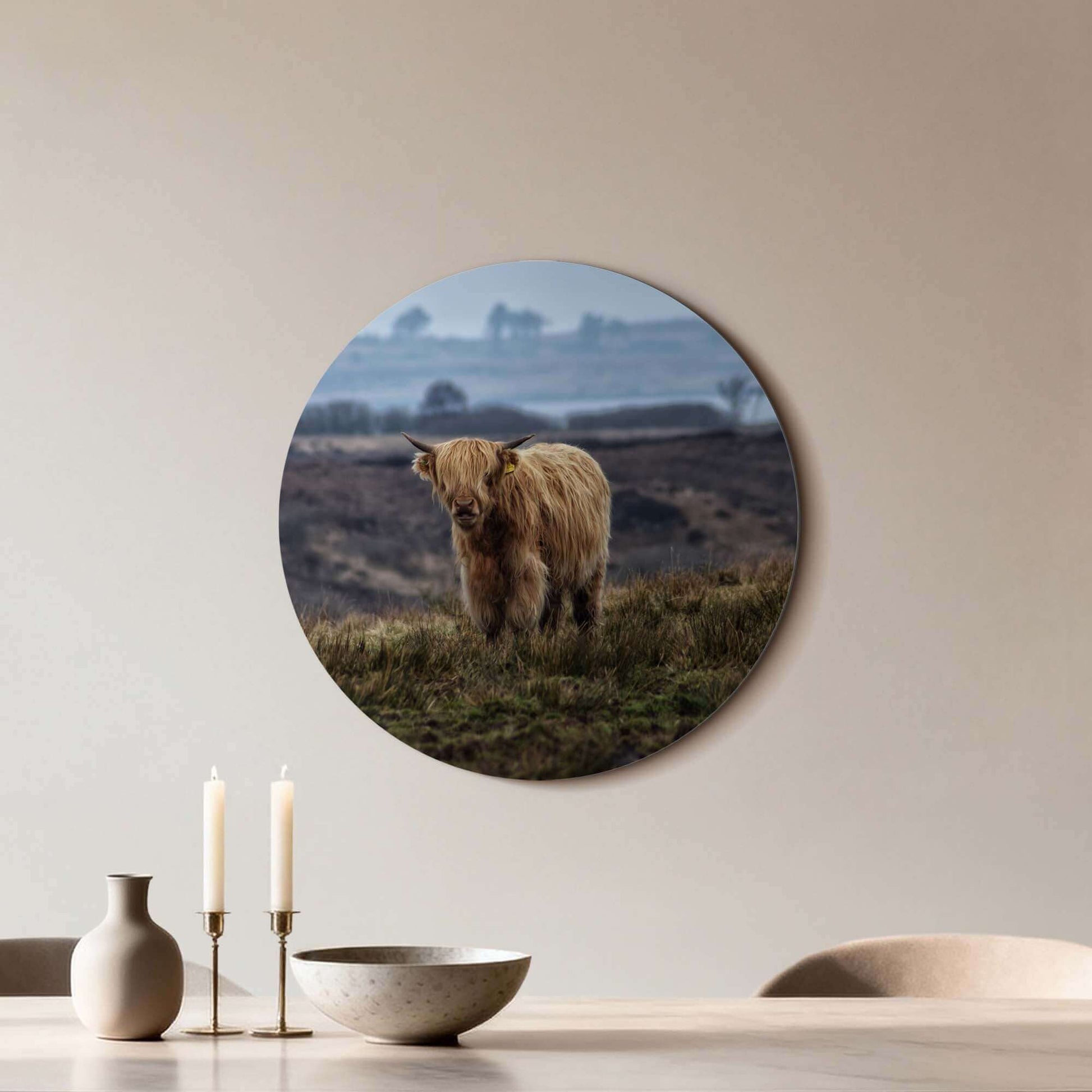 Schotse Hooglander in het veld – Muurcirkel; decoratieve muurcirkel op aluminium dibond, natuurprint voor keuken of woonkamer.