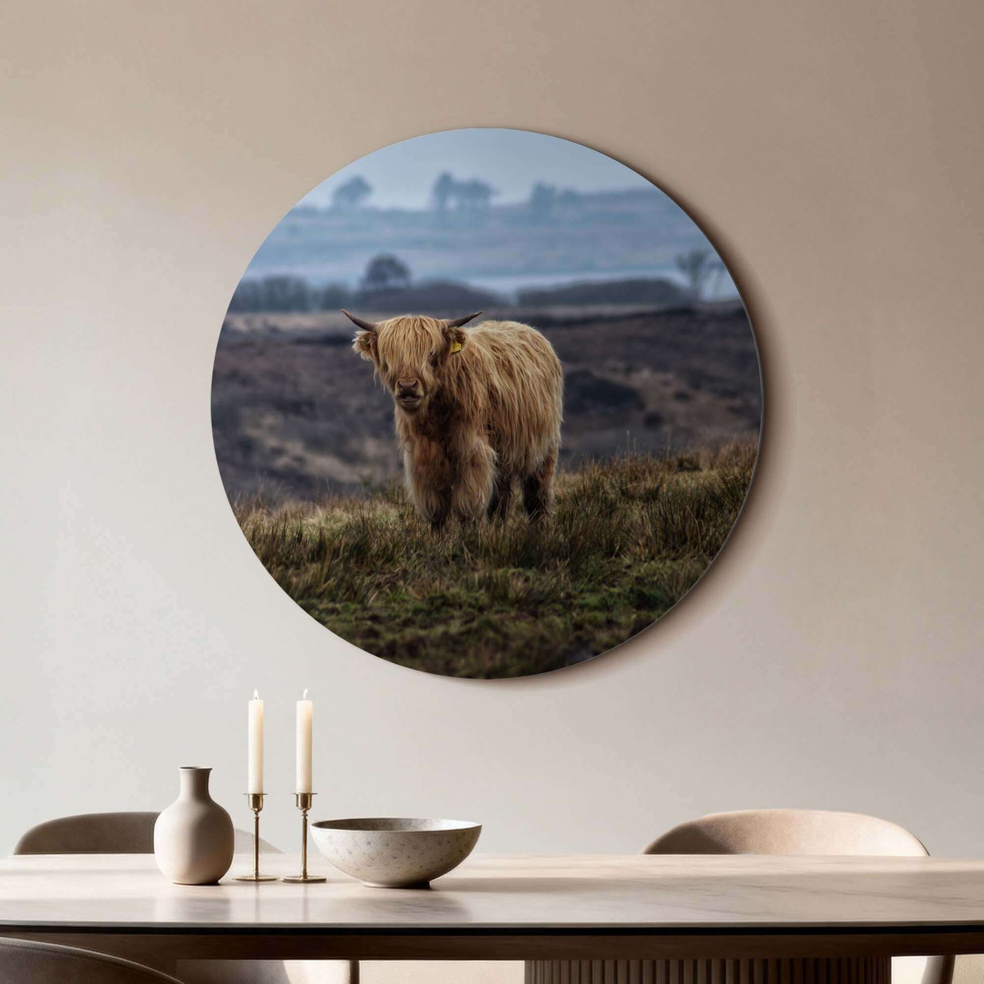 Schotse Hooglander in het veld – Muurcirkel met wanddecoratie op aluminium dibond voor keuken of woonkamer.