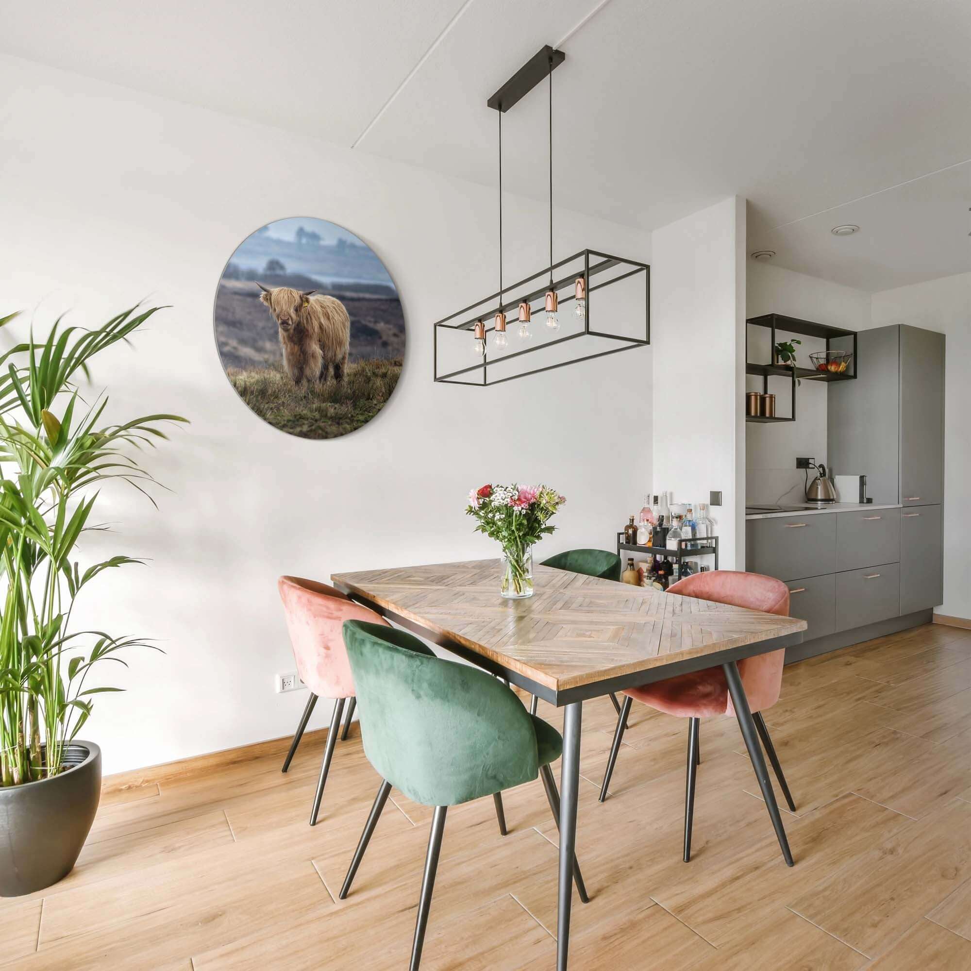 Schotse Hooglander in het veld – Muurcirkel