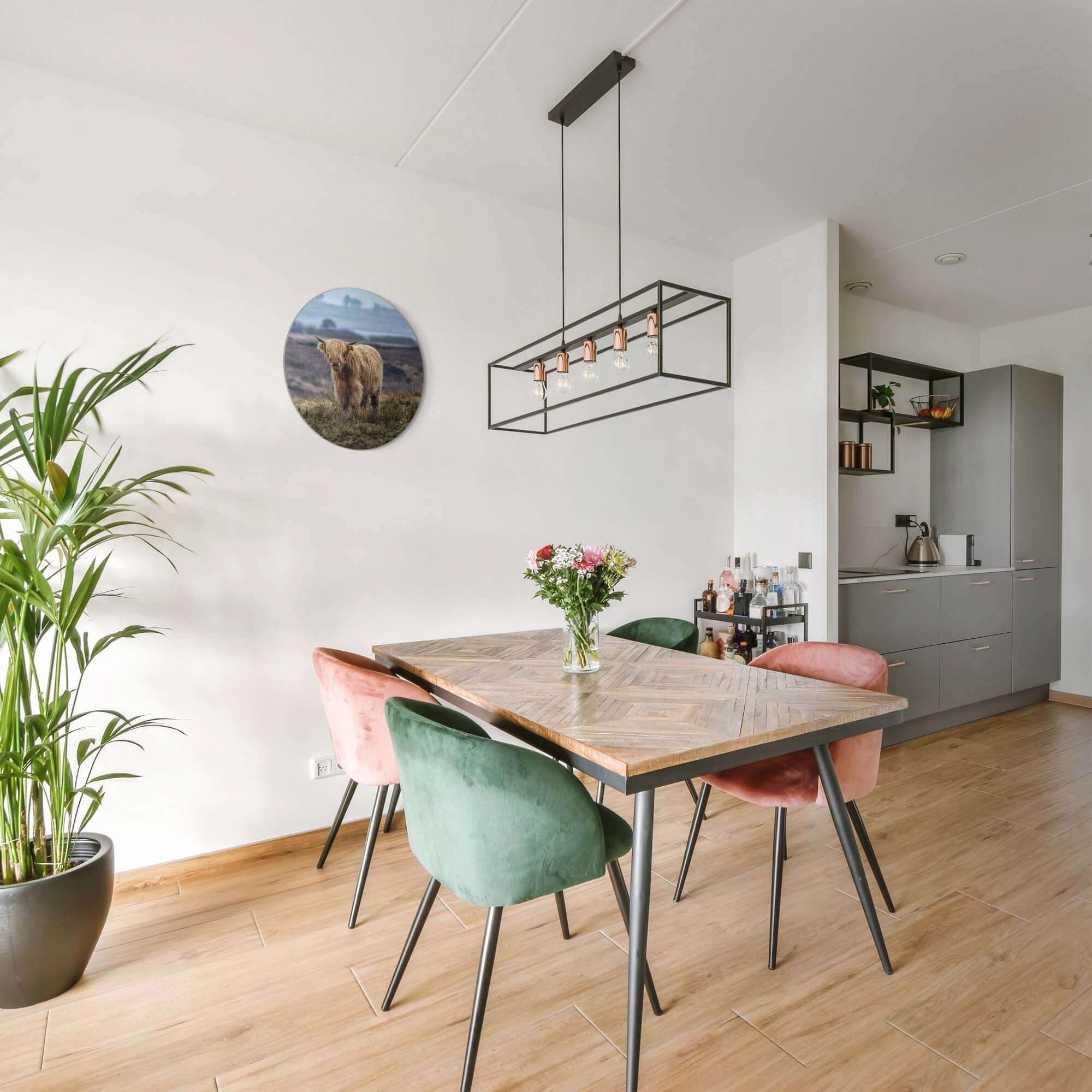 Schotse Hooglander in het veld – Muurcirkel