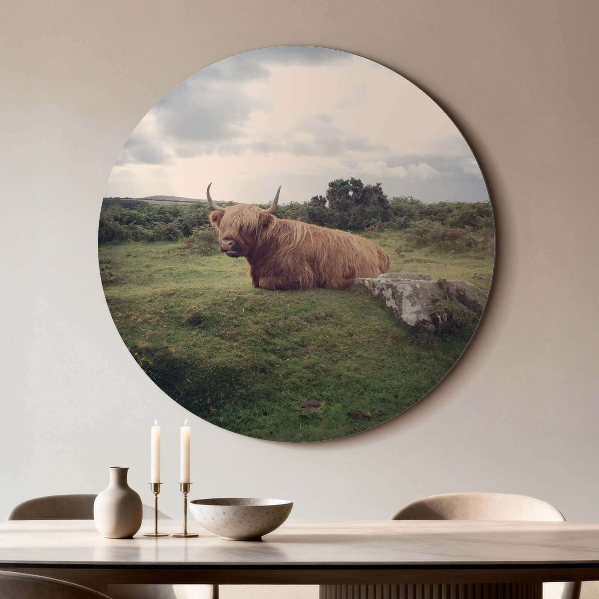 Rustige Hooglander in de natuur – Muurcirkel op aluminium dibond, serene Schotse hooglander in groen veld. Stijlvolle wandcirkel decor.