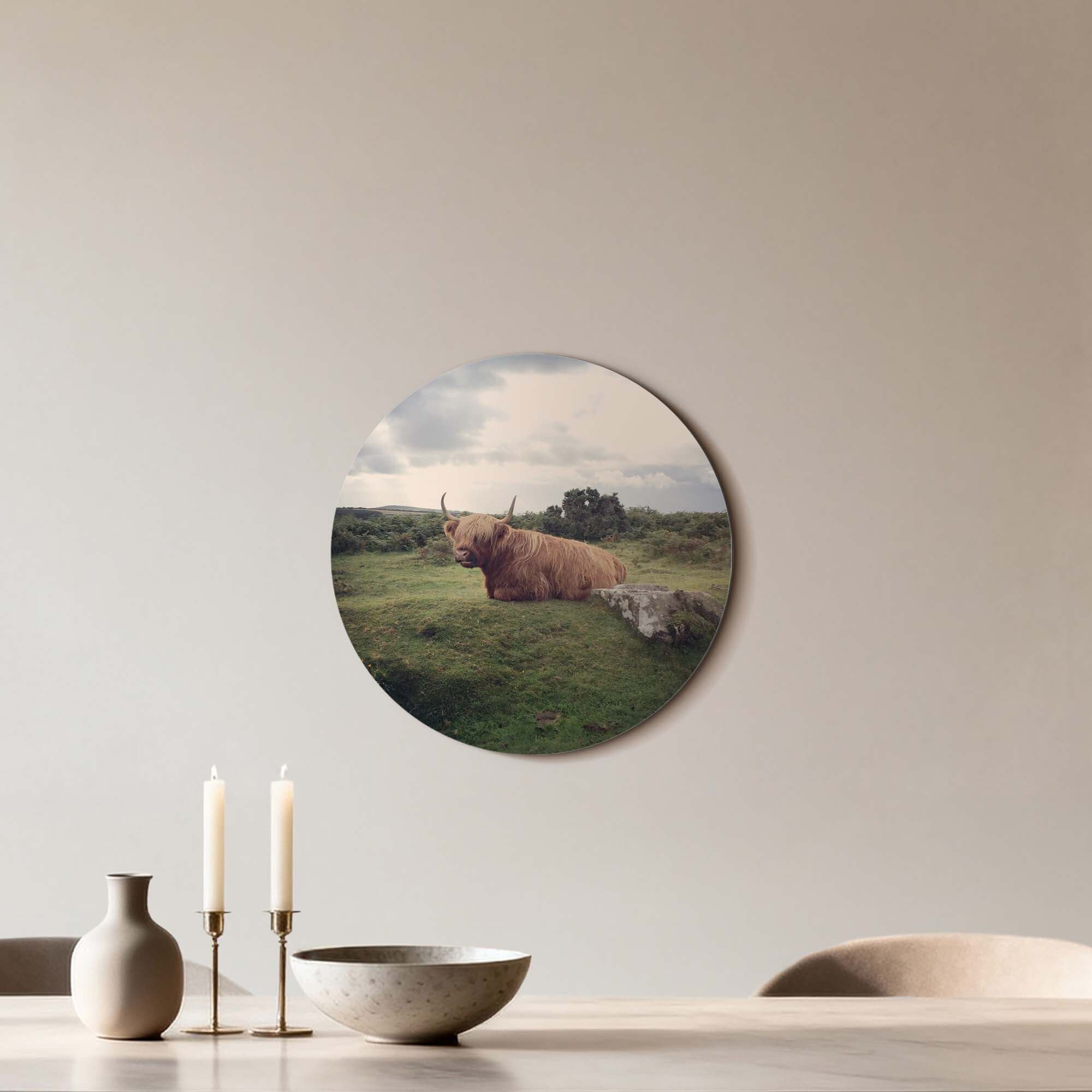 Rustige Hooglander in de natuur – Muurcirkel met Schotse hooglander in groene veld, stijlvolle matte print op aluminium dibond.
