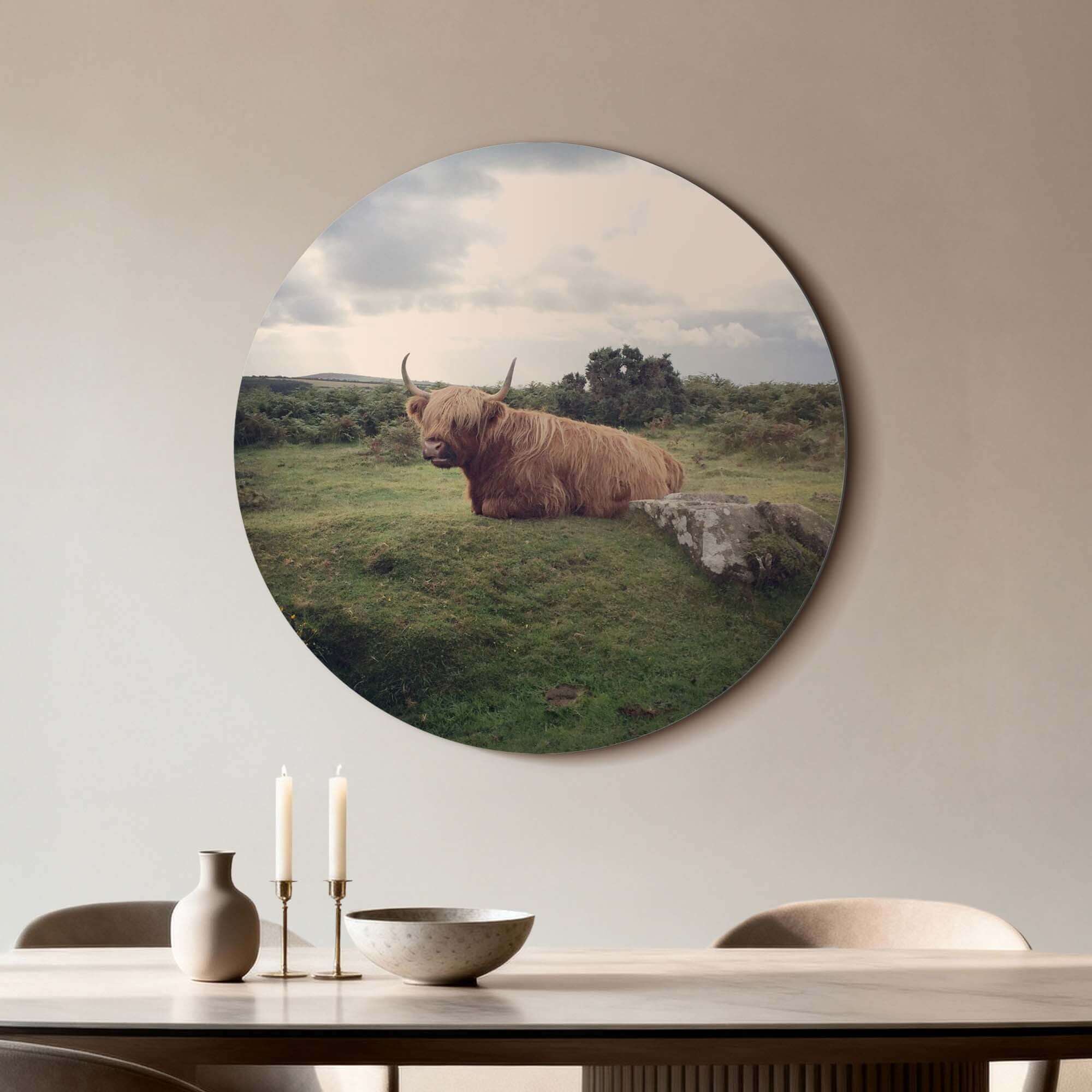 Rustige Hooglander in de natuur – Muurcirkel op aluminium dibond, serene Schotse hooglander in groen veld. Muurcirkels wanddecoratie.