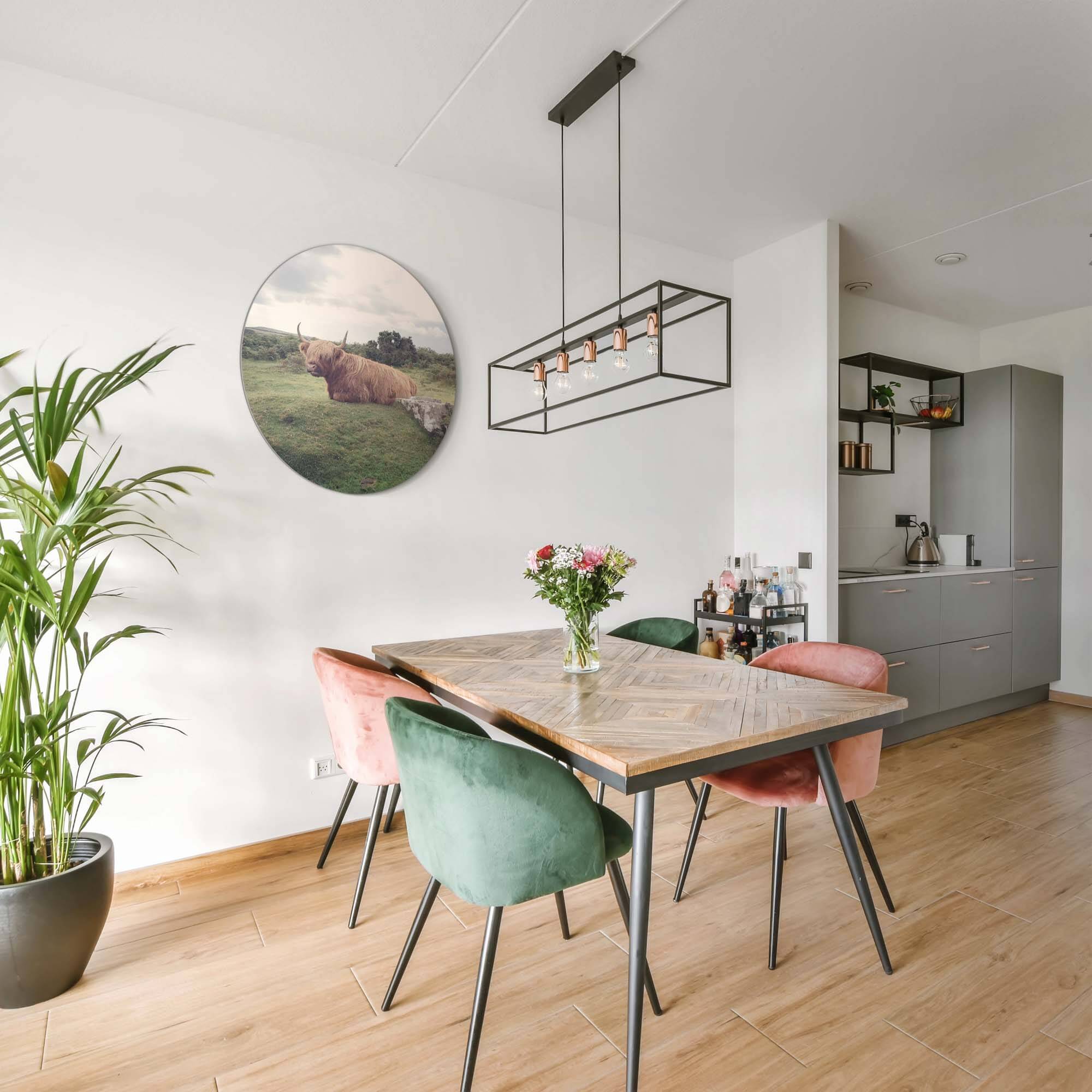 Rustige Hooglander in de natuur – Muurcirkel