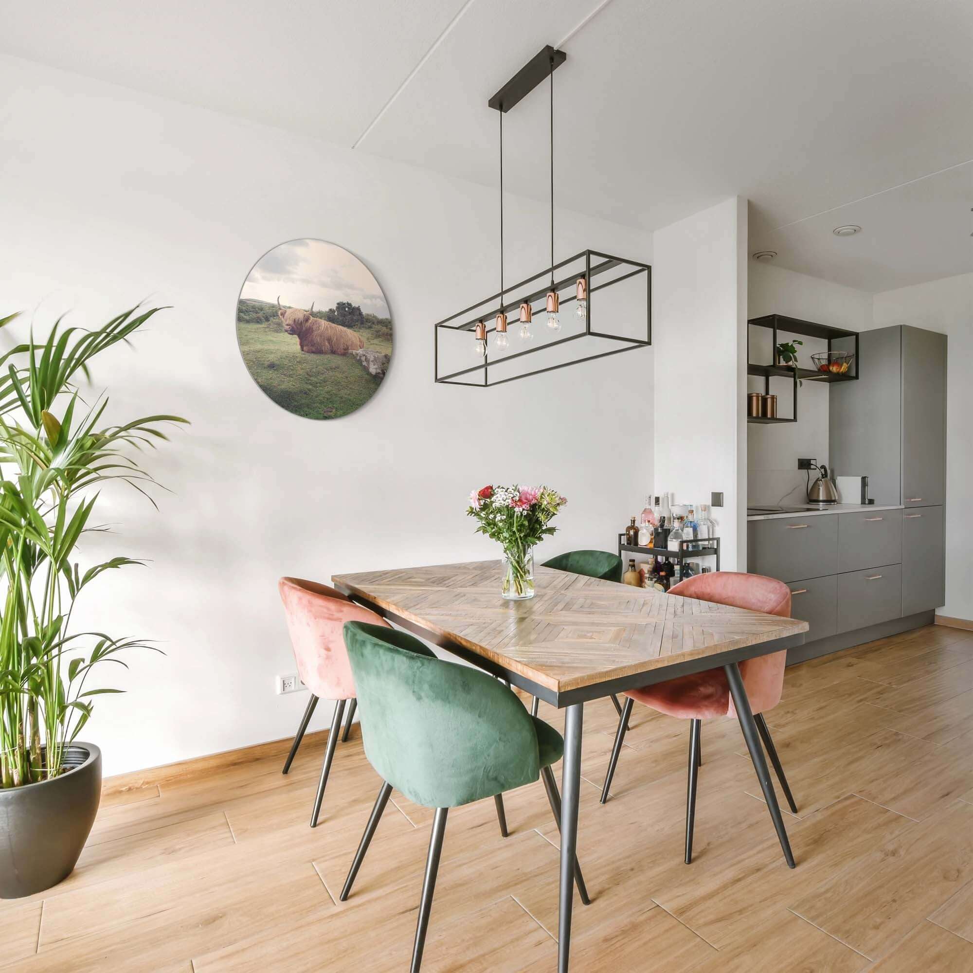 Rustige Hooglander in de natuur – Muurcirkel